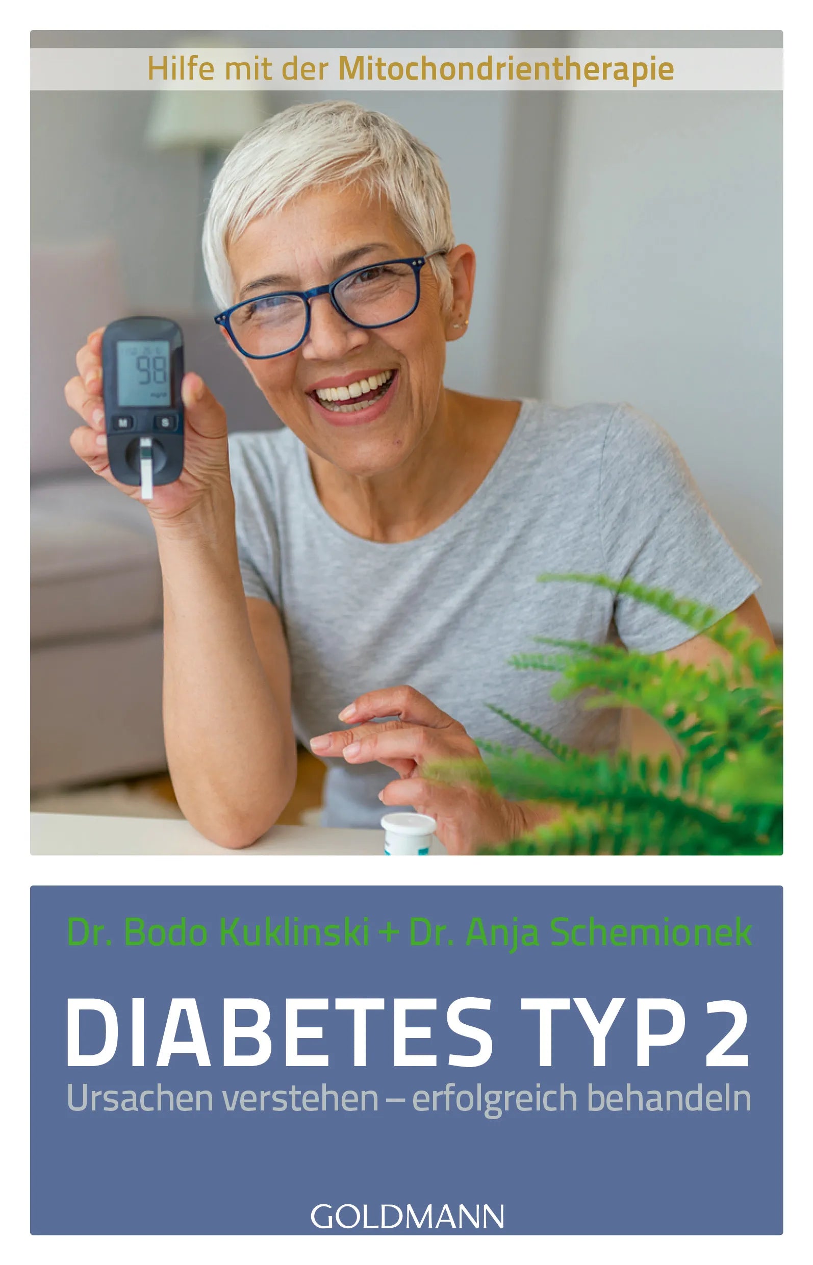 Cover: Diabetes Typ 2 (E-Book) von Bodo Kuklinski