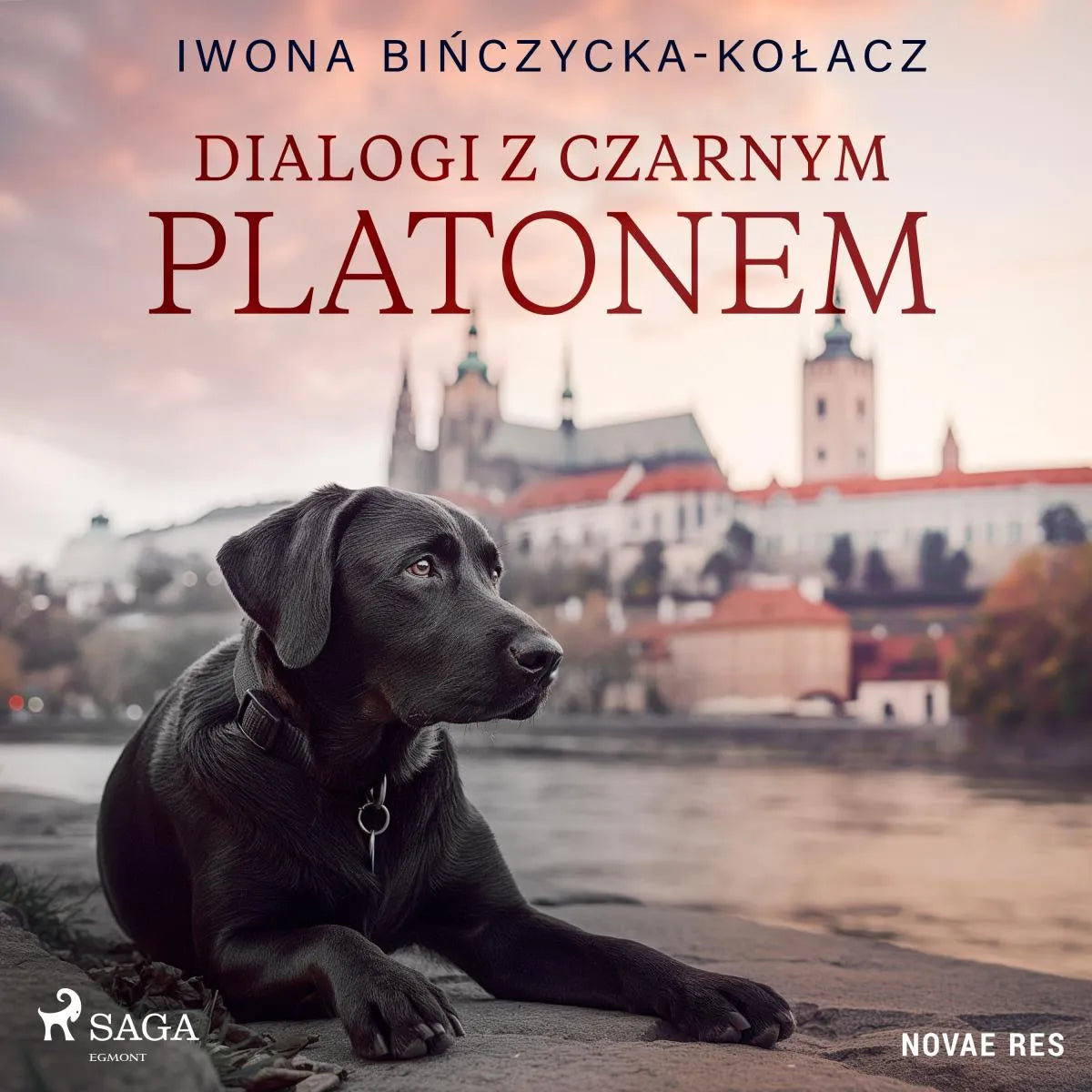 Cover: Dialogi z czarnym Platonem (Hörbuch Download) von Iwona Binczycka-Kolacz