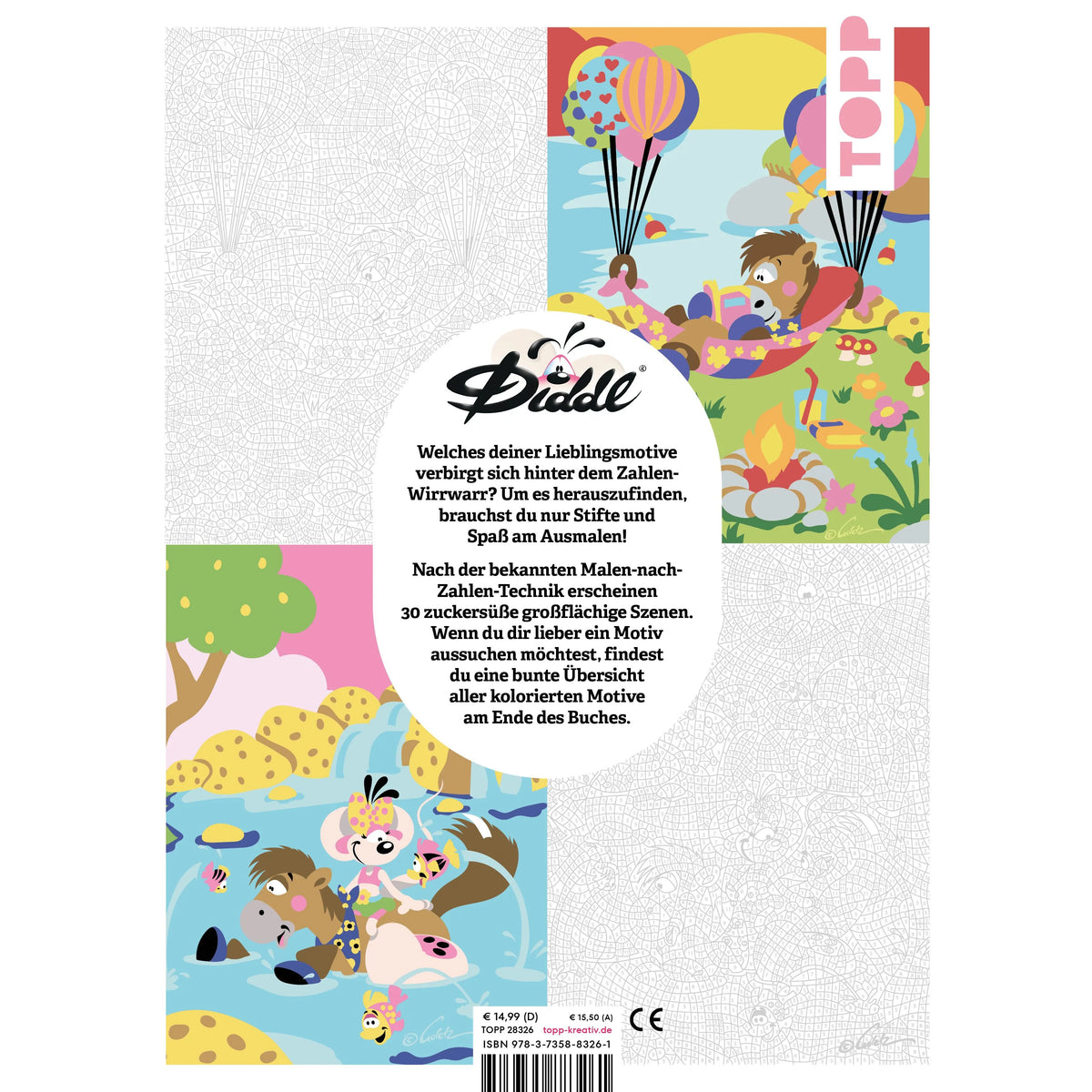 Detailansicht: DIDDL – Malen nach Zahlen (Taschenbuch)