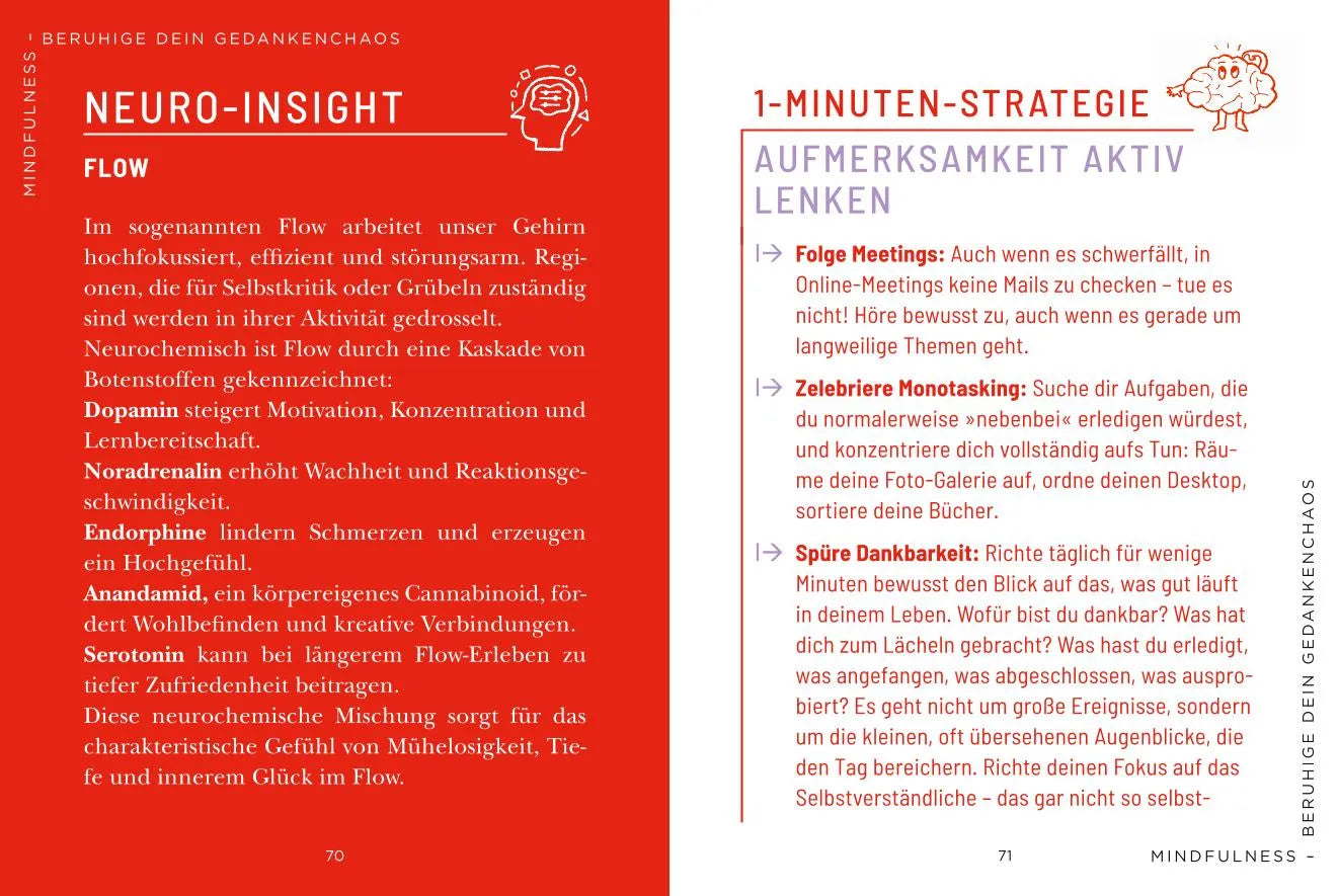 Cordula Nussbaum - Die 1-Minuten-Strategie gegen mentale Erschöpfung