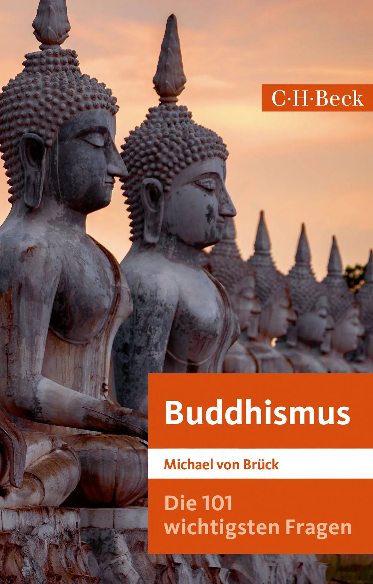 Buchcover von 'Die 101 wichtigsten Fragen: Buddhismus' - Taschenbuch von Michael Brück