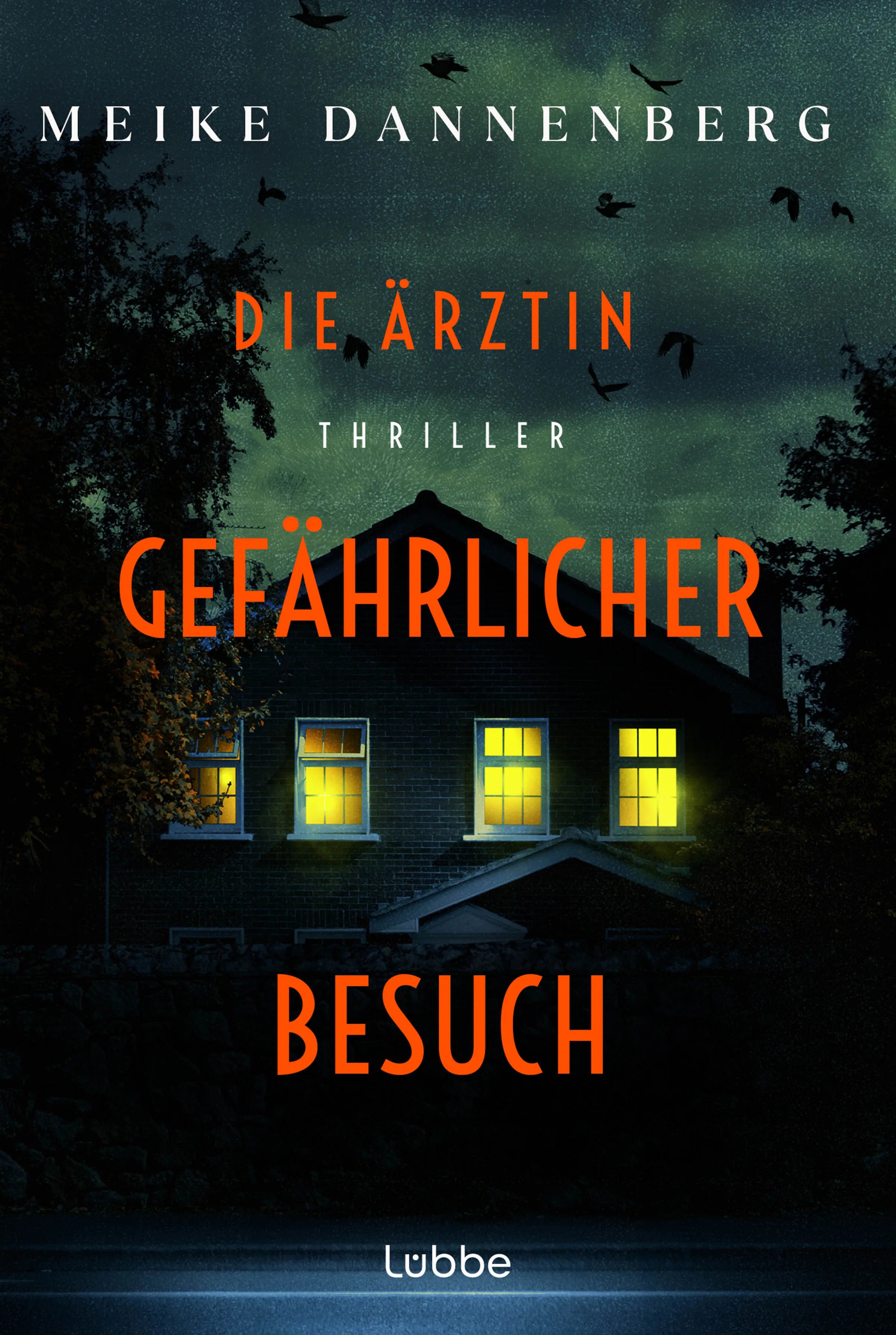 Meike Dannenberg - Die Ärztin – Gefährlicher Besuch