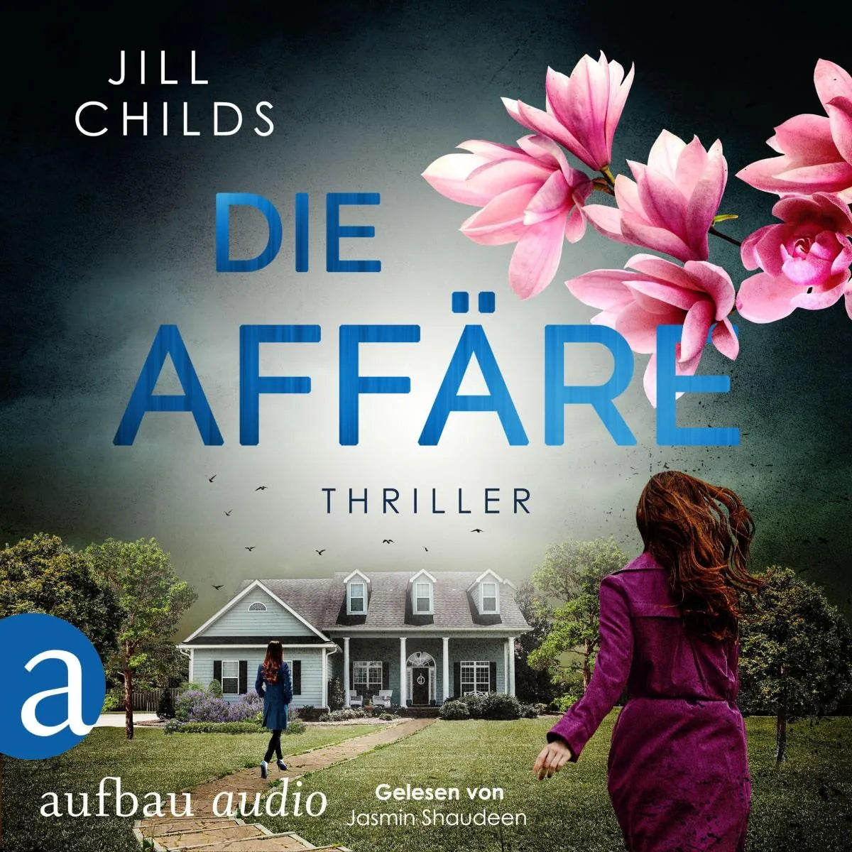 Cover: Die Affäre (Hörbuch Download) von Jill Childs