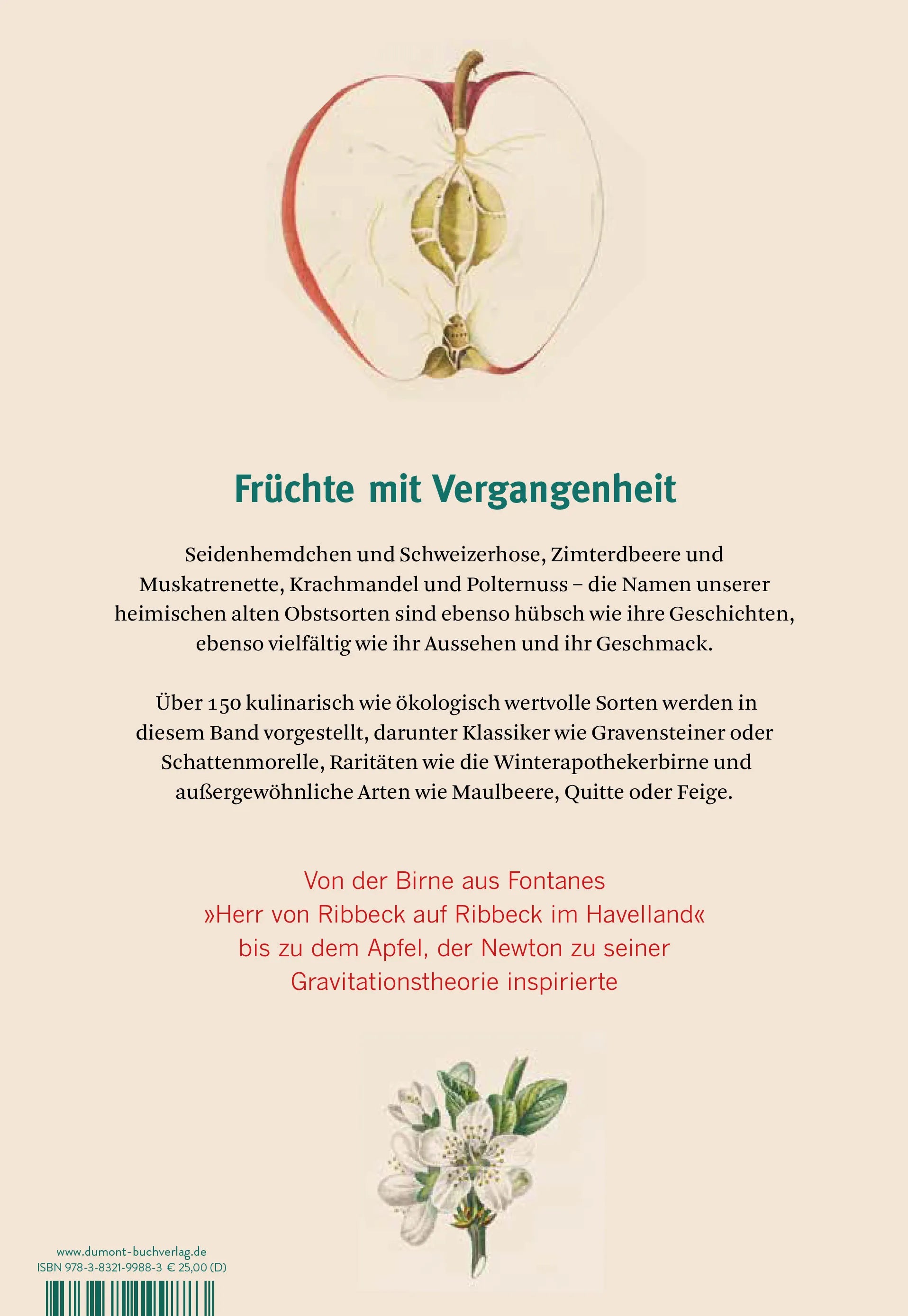 Buchrückseite von 'Die alten Obstsorten' mit Klappentext - Gebundene Ausgabe
