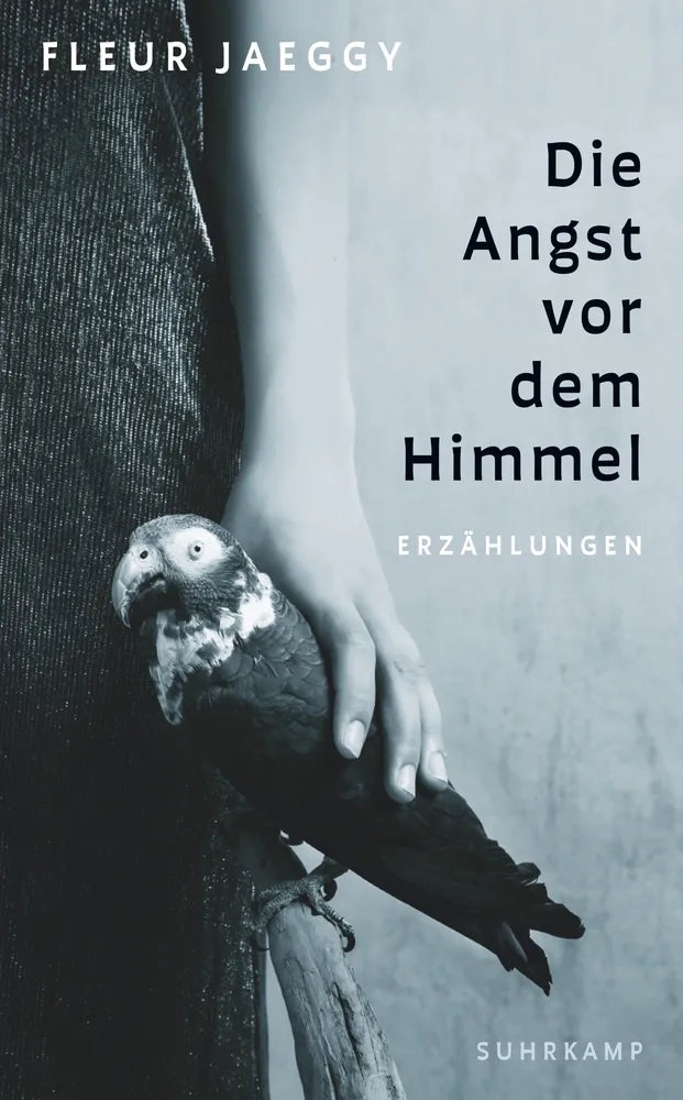 Cover: Die Angst vor dem Himmel (E-Book) von Fleur Jaeggy