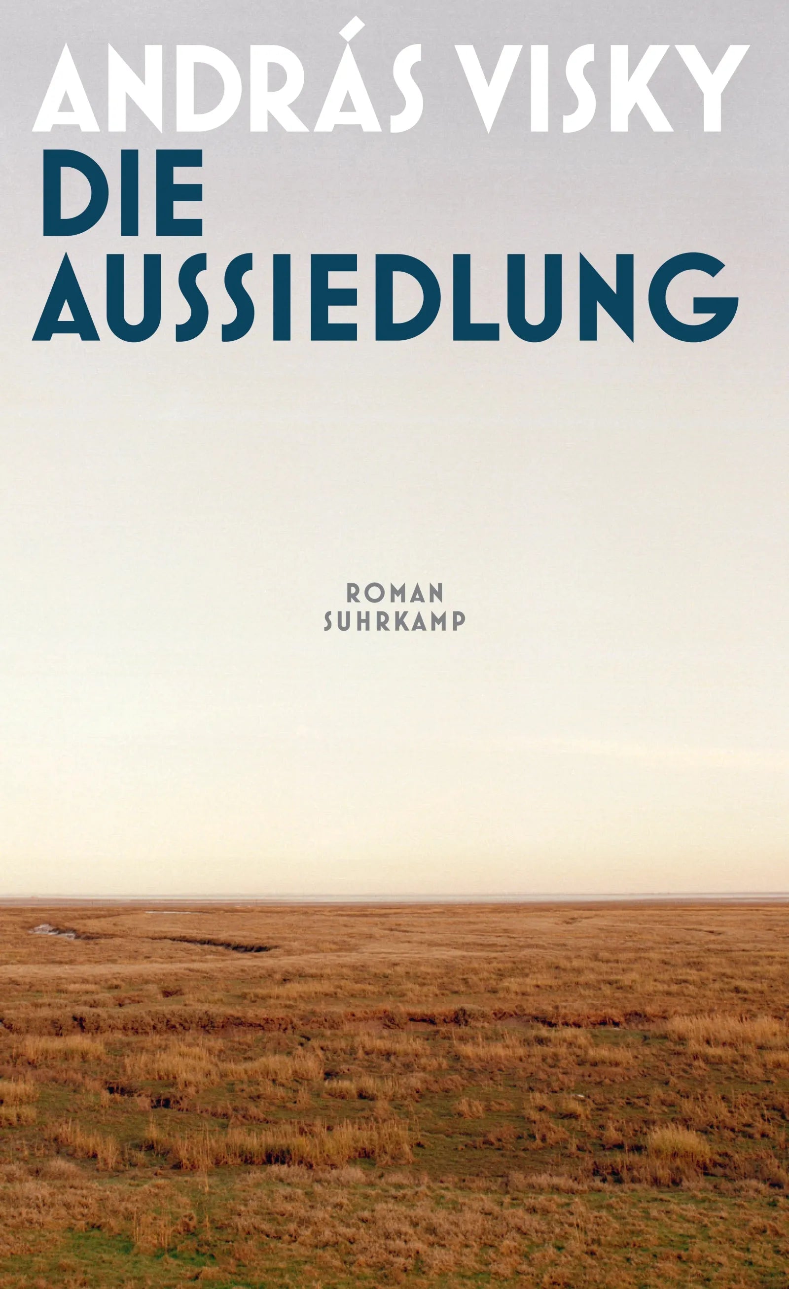 Cover: Die Aussiedlung (E-Book) von András Visky