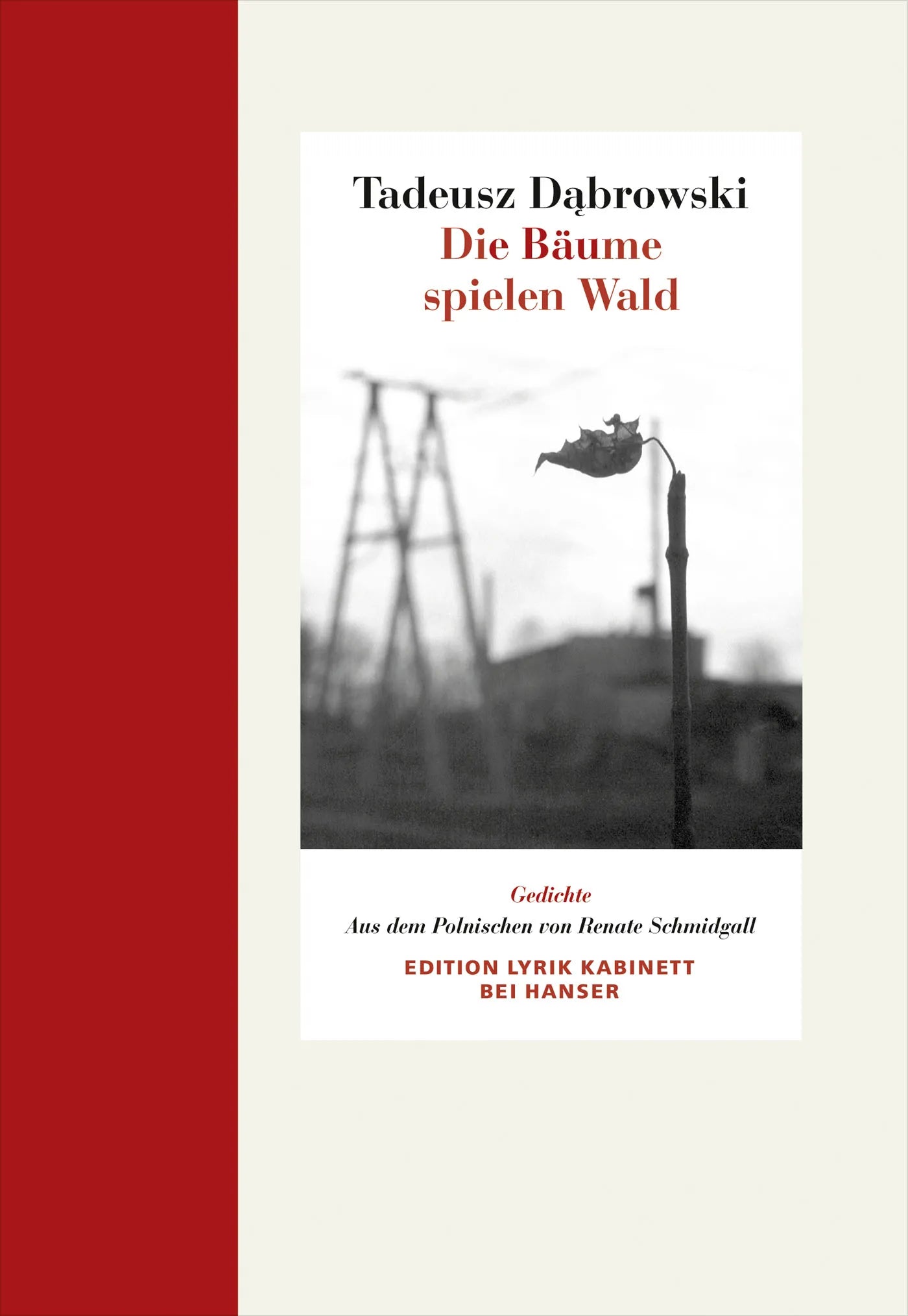 Buchcover von 'Die Bäume spielen Wald' - Gebundene Ausgabe von Tadeusz Dabrowski