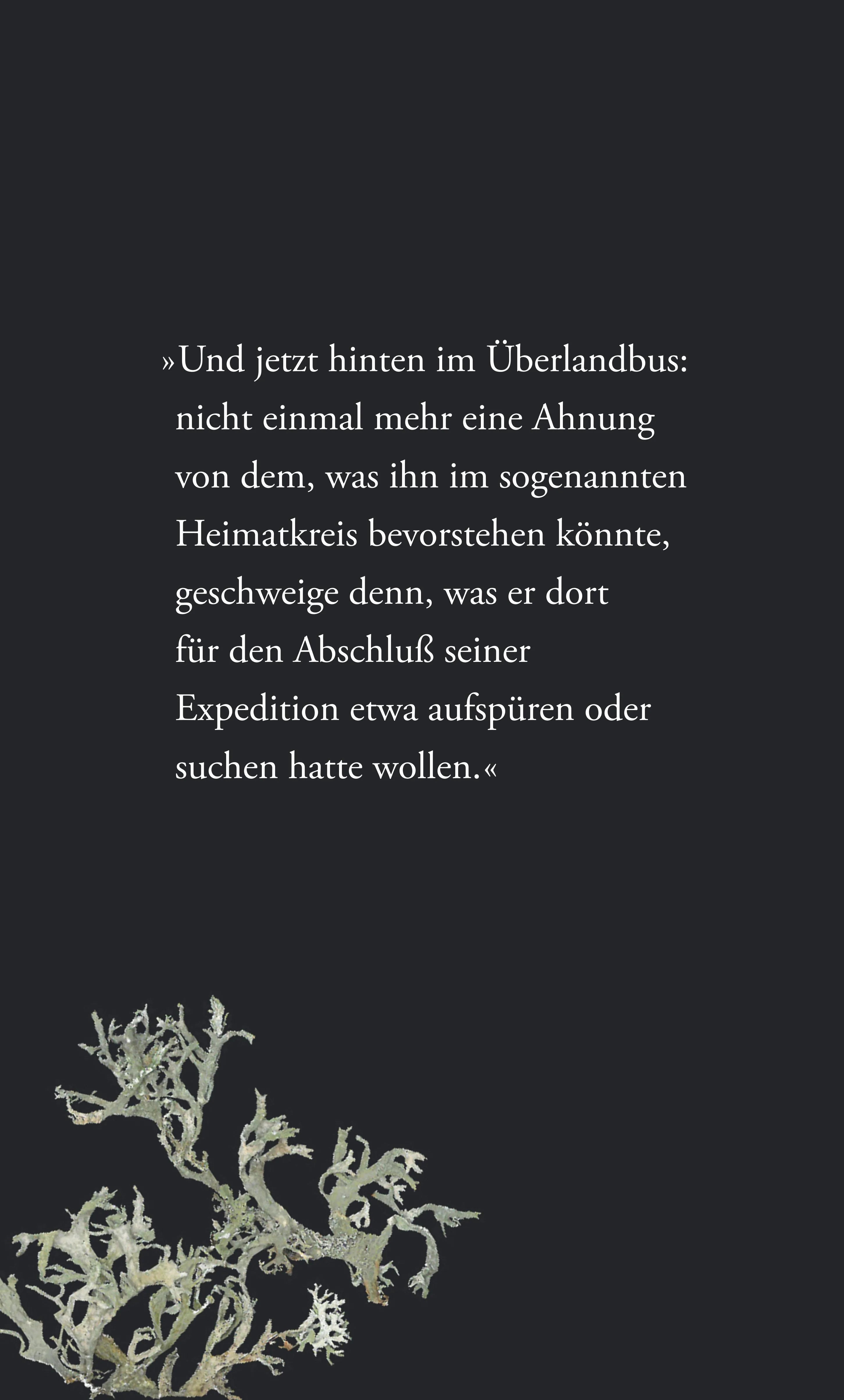 Buchrückseite von 'Die Ballade des letzten Gastes' mit Klappentext - Gebundene Ausgabe