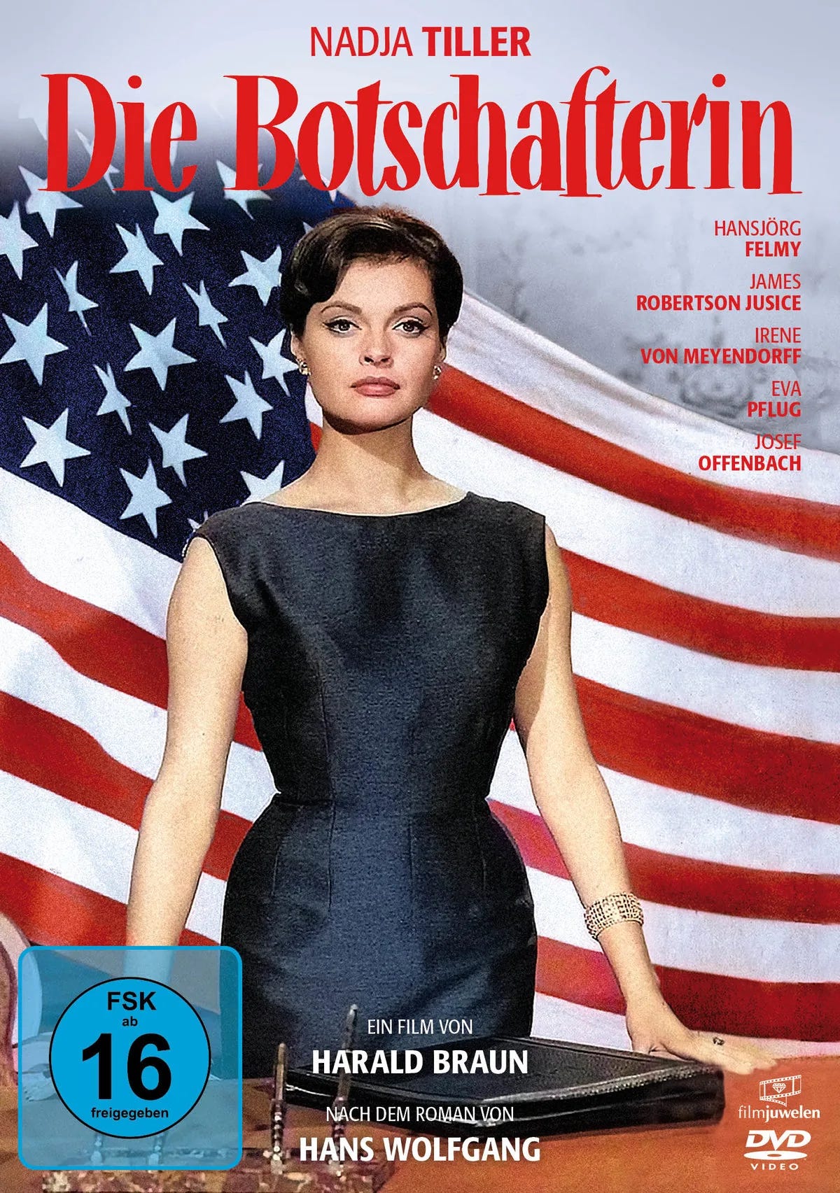 Die Botschafterin - DVD