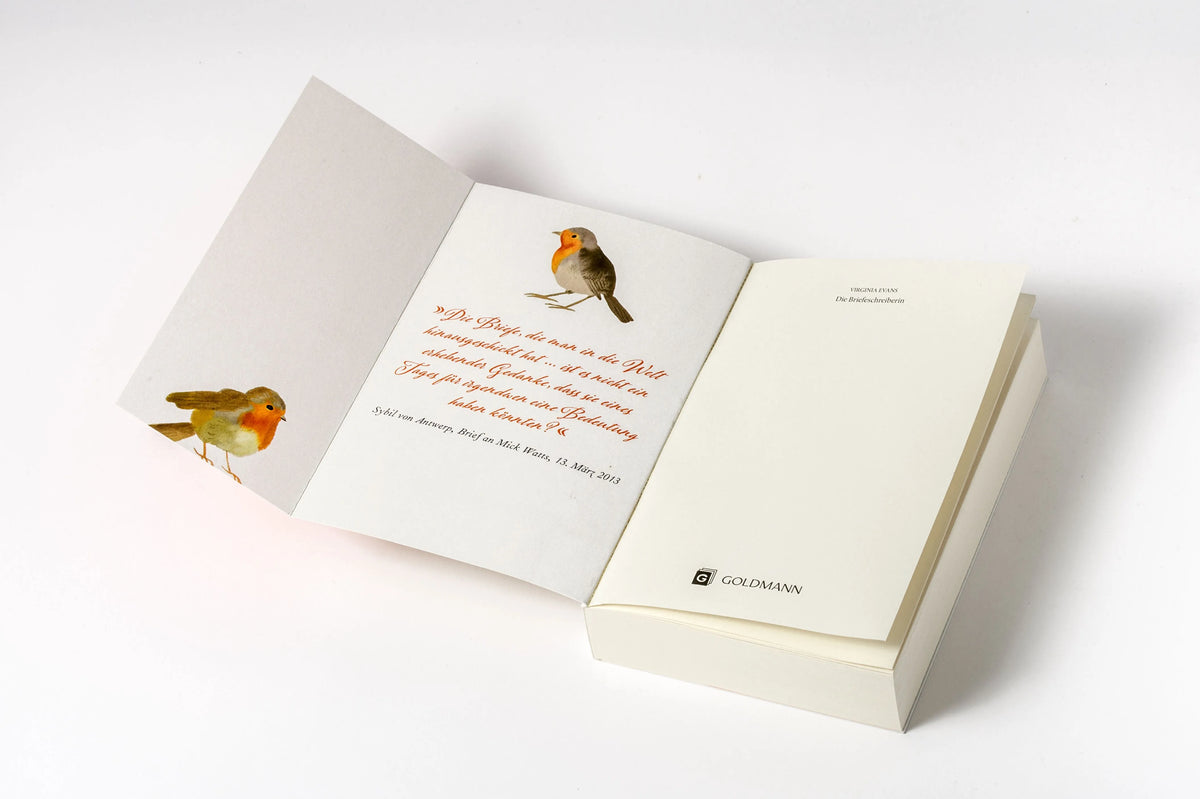 Detailansicht: Die Briefeschreiberin (Taschenbuch)