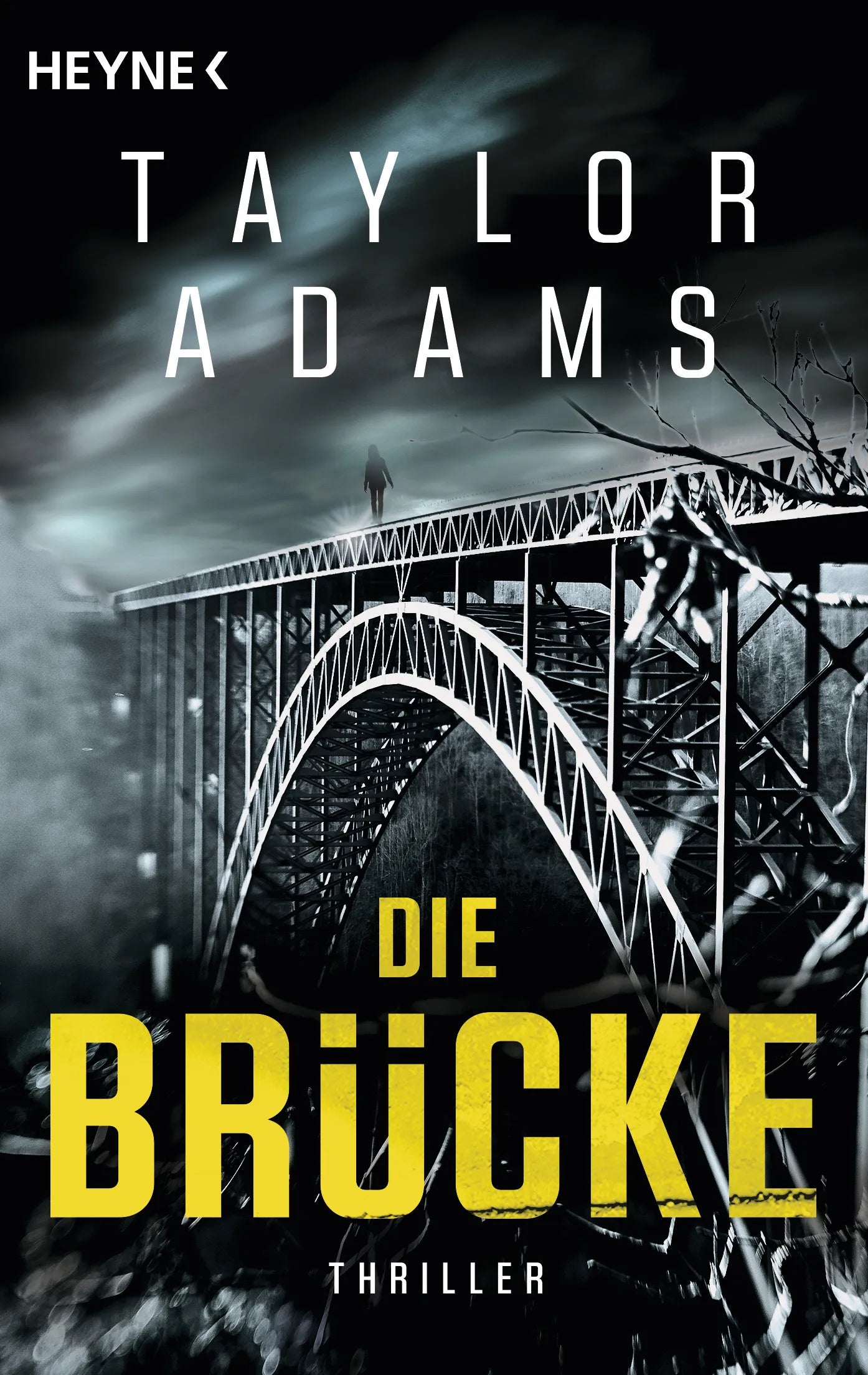 Cover: Die Brücke (E-Book) von Taylor Adams