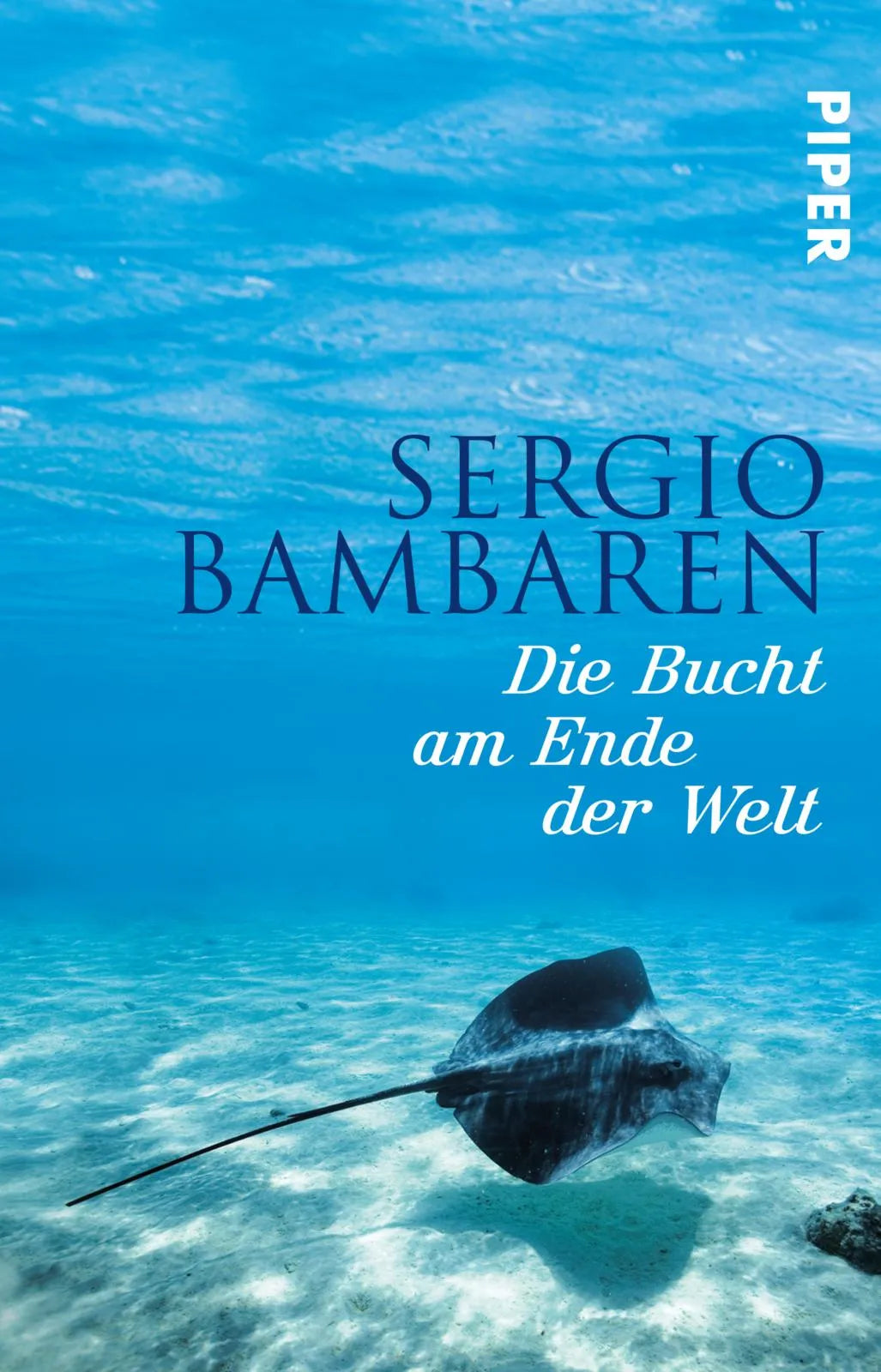 Buchcover von 'Die Bucht am Ende der Welt' - Taschenbuch von Sergio Bambaren