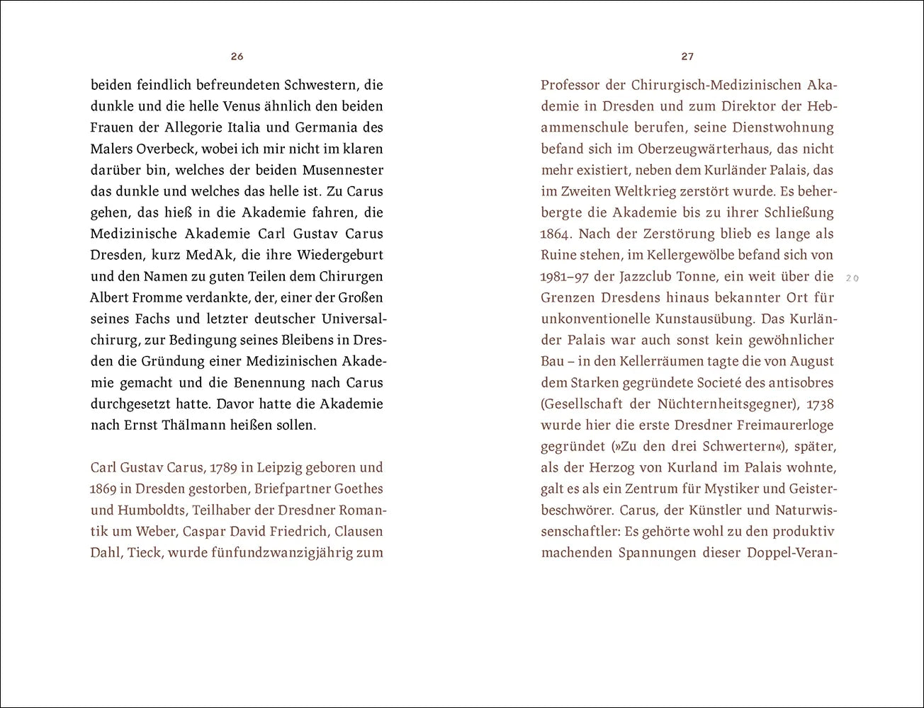 Produktansicht: Die Carus-Sachen (Gebundene Ausgabe)