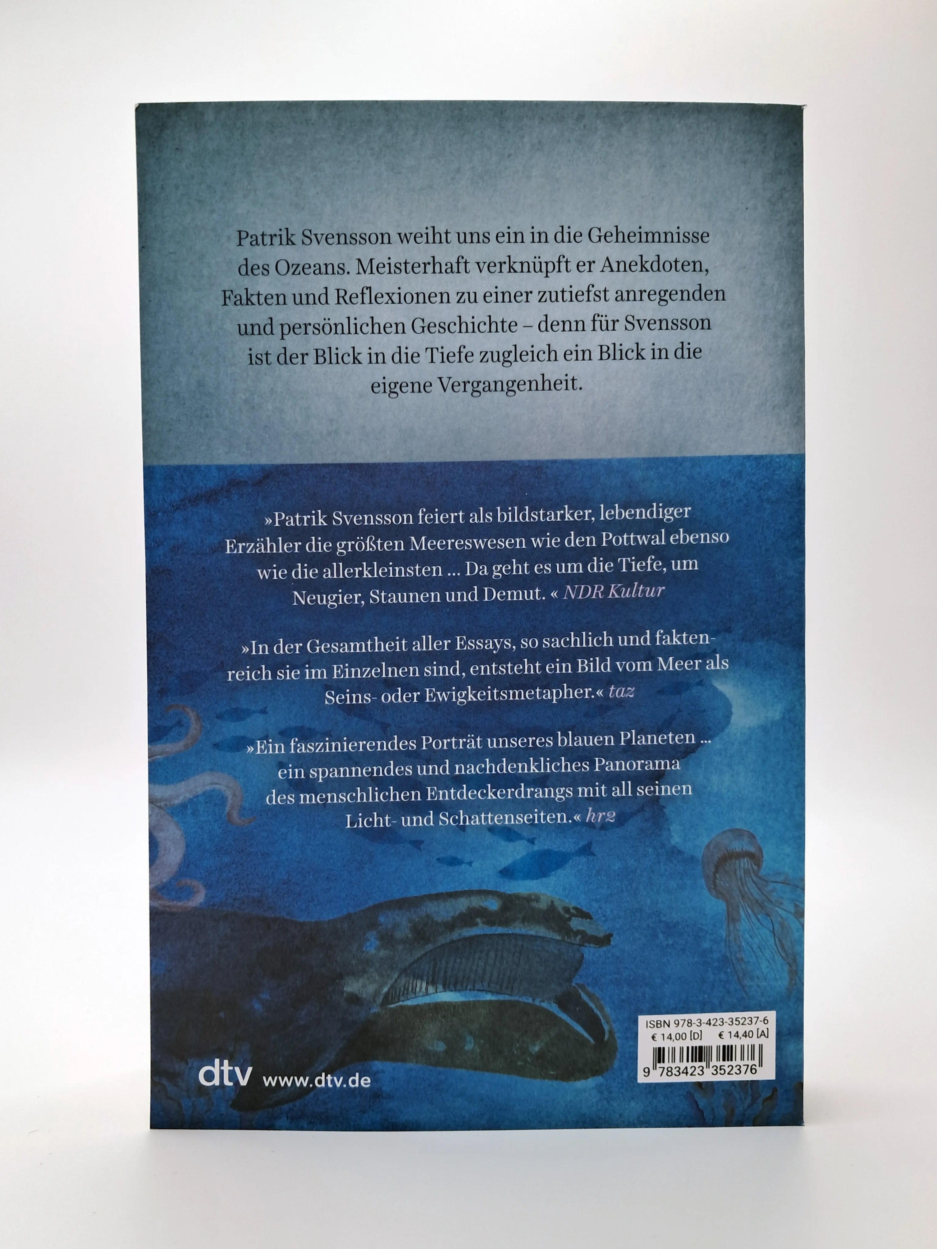 Produktansicht: Die Chronistin der Meere (Taschenbuch)