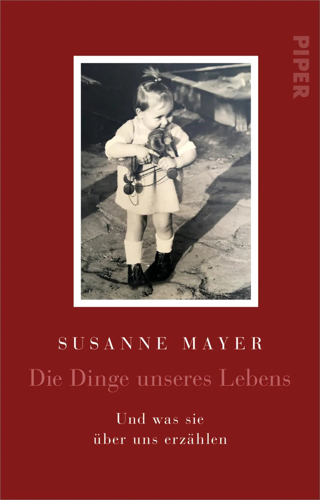 Buchcover von 'Die Dinge unseres Lebens' - Taschenbuch von Susanne Mayer