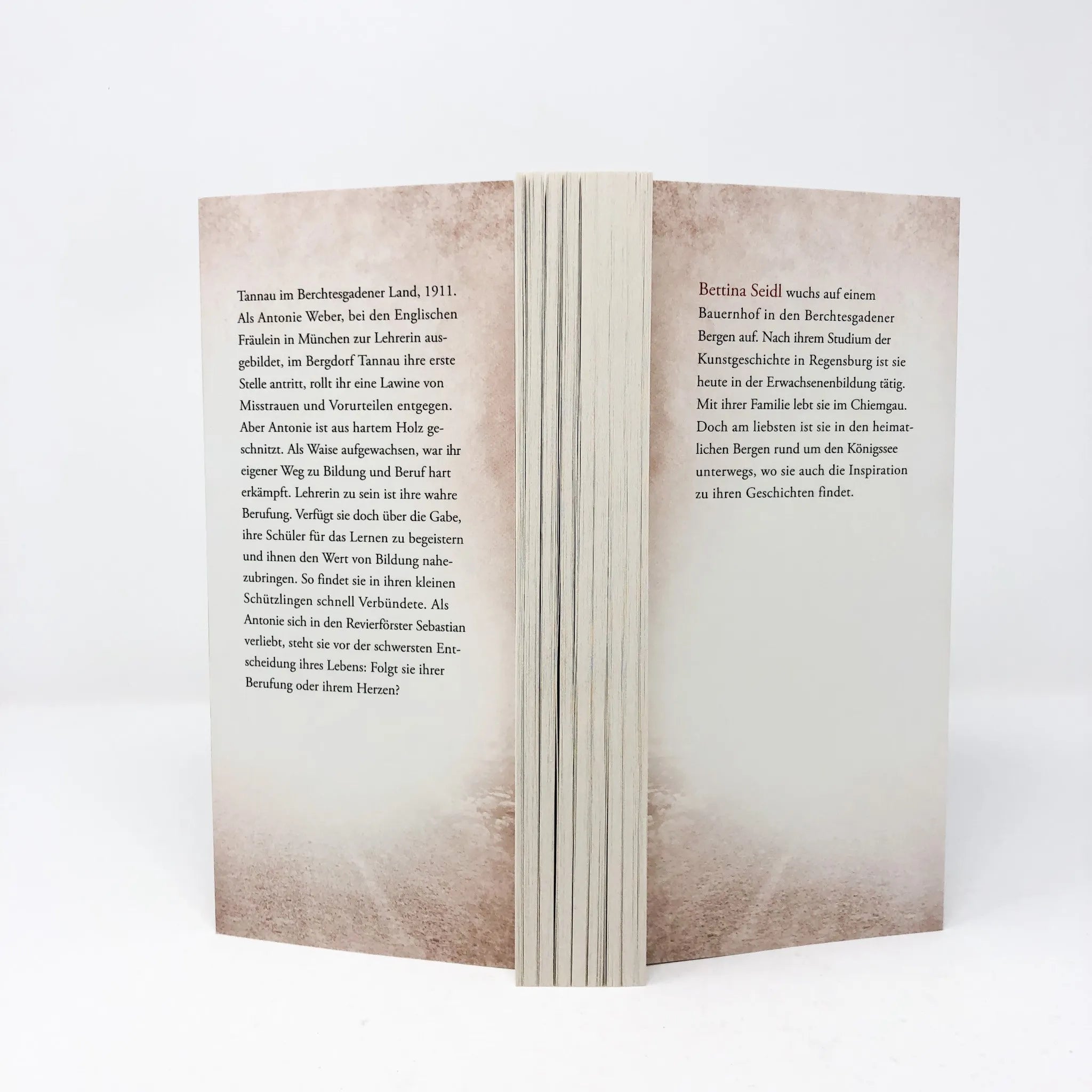 Produktansicht: Die Dorflehrerin (Taschenbuch)