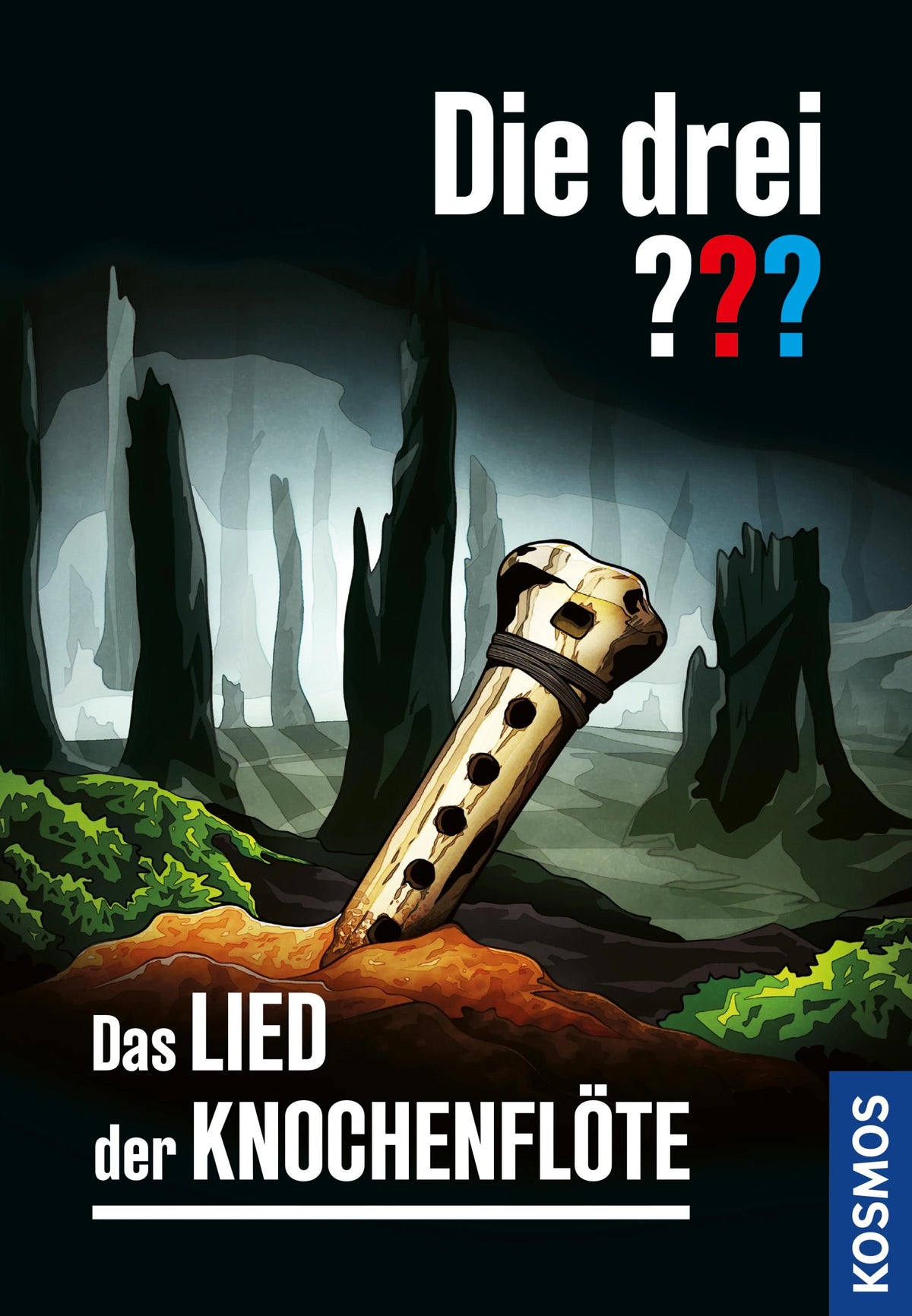 Cover: Die drei ??? Das Lied der Knochenflöte (E-Book) von Kari Erlhoff