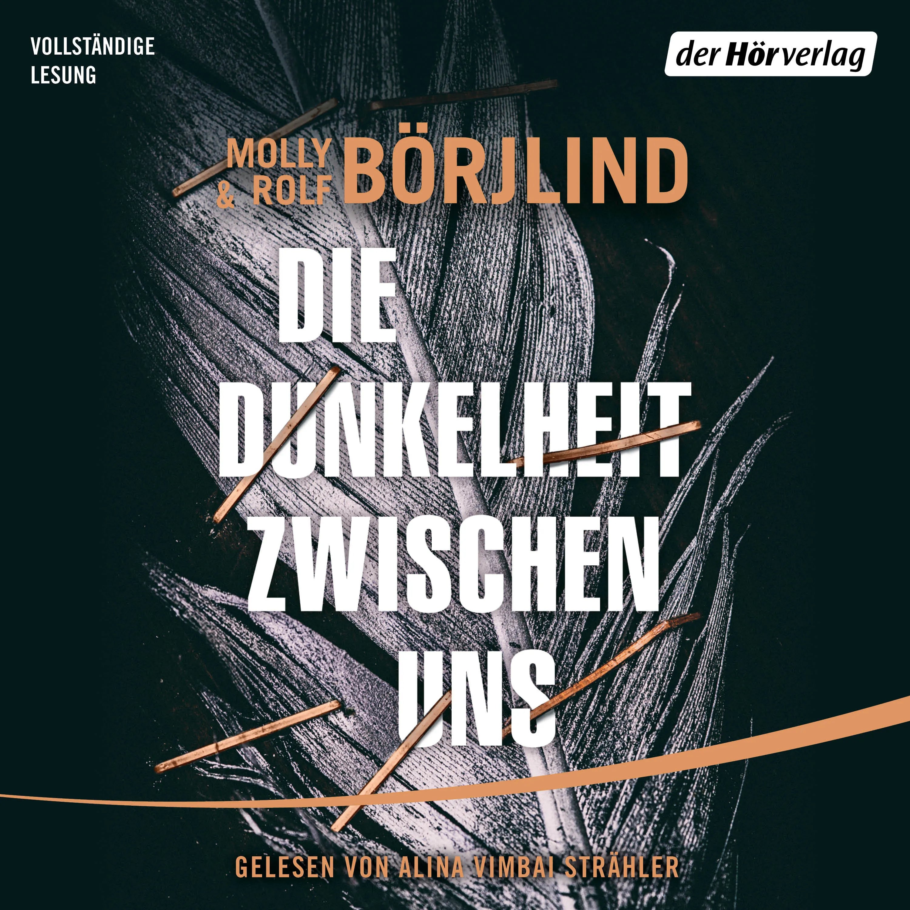 Cover: Die Dunkelheit zwischen uns (Hörbuch Download) von Molly Börjlind