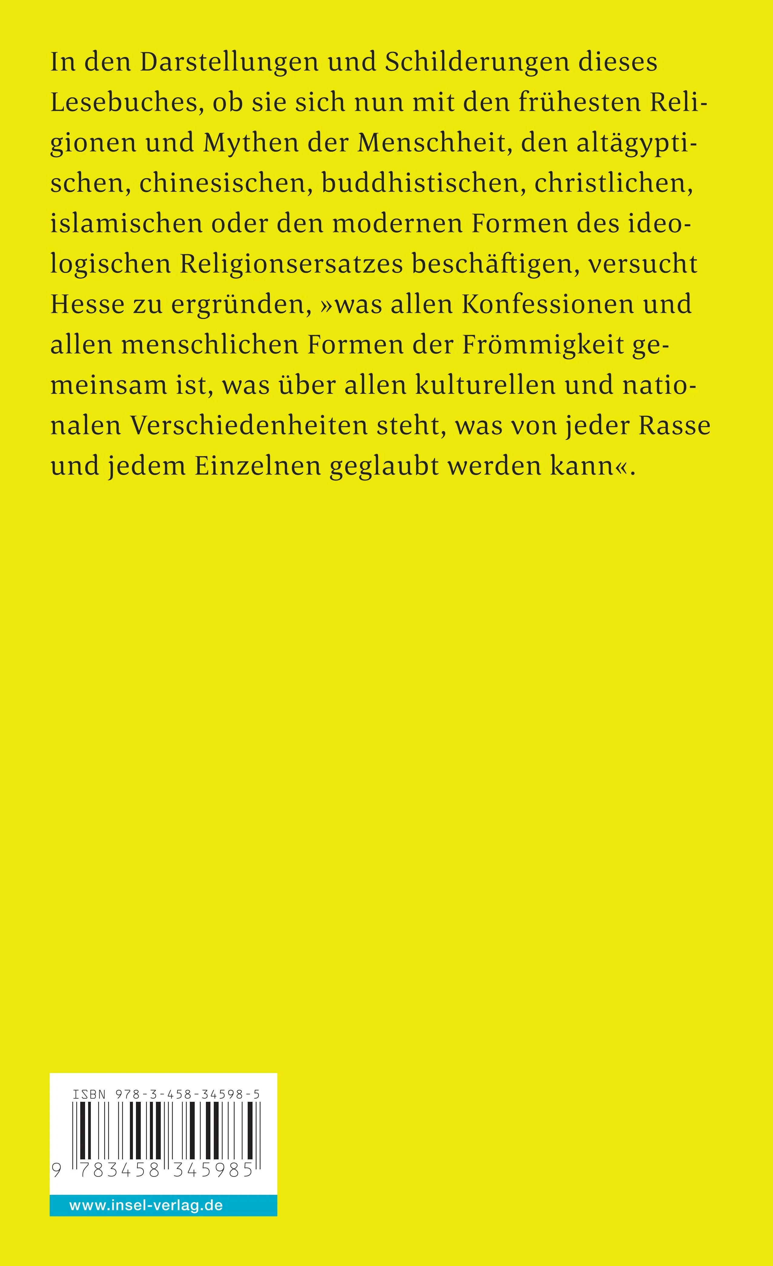 Buchrückseite von 'Die Einheit hinter den Gegensätzen' mit Klappentext - Taschenbuch