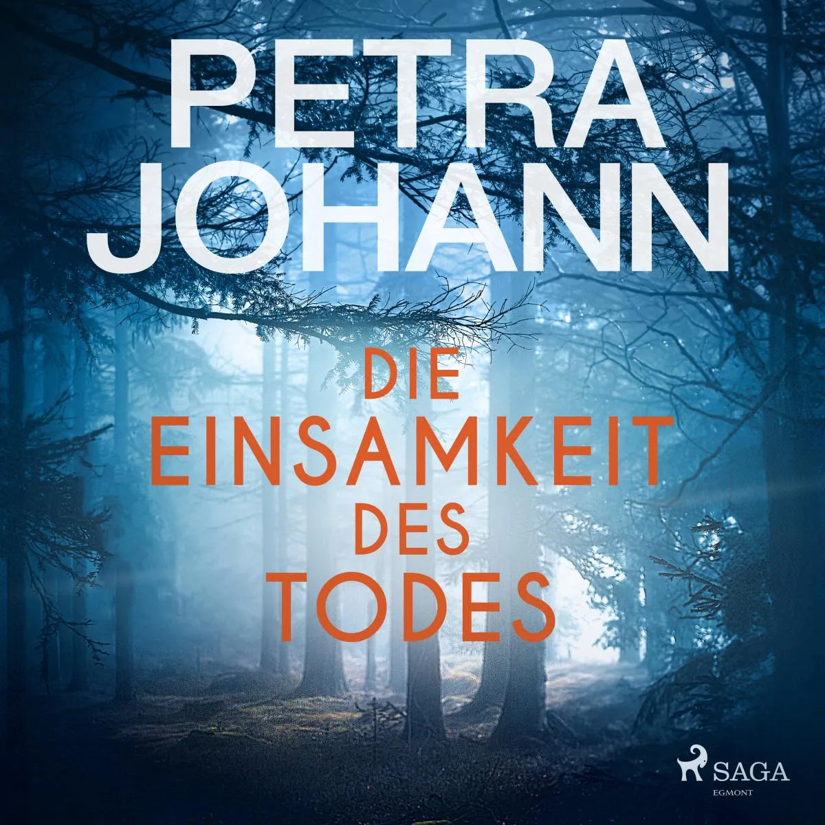 Cover: Die Einsamkeit des Todes (Hörbuch Download) von Petra Johann