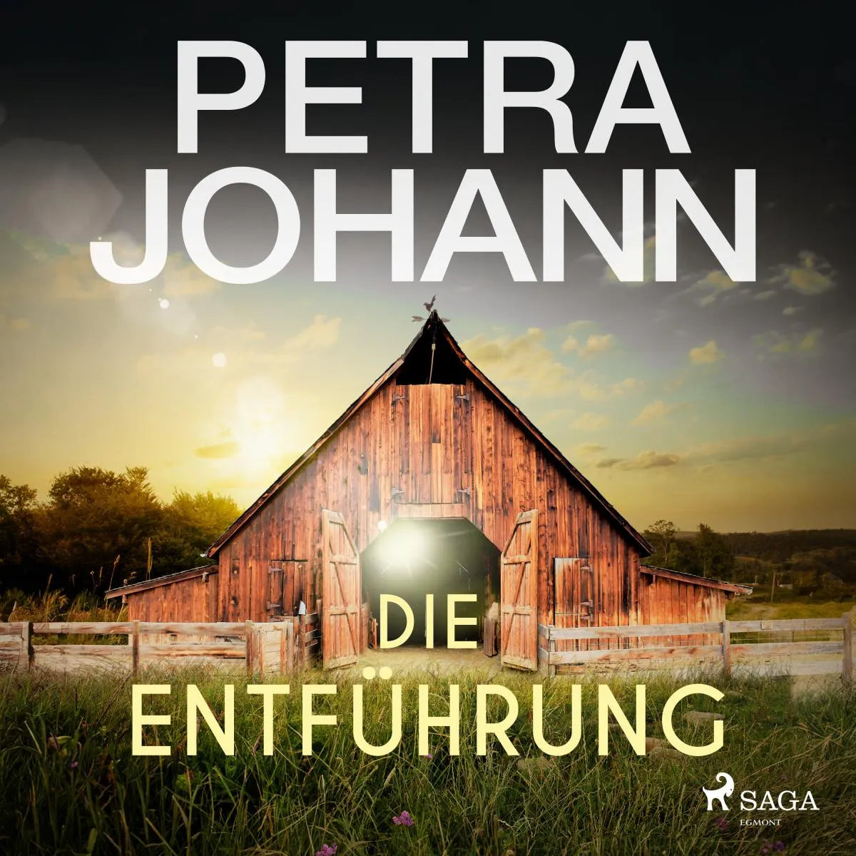 Cover: Die Entführung (Hörbuch Download) von Petra Johann