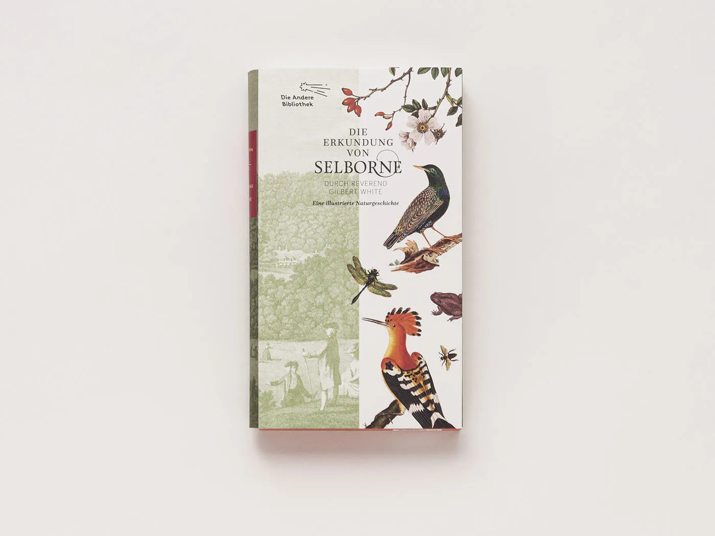 Innenansicht von 'Die Erkundung von Selborne durch Reverend Gilbert White' - Gebundene Ausgabe