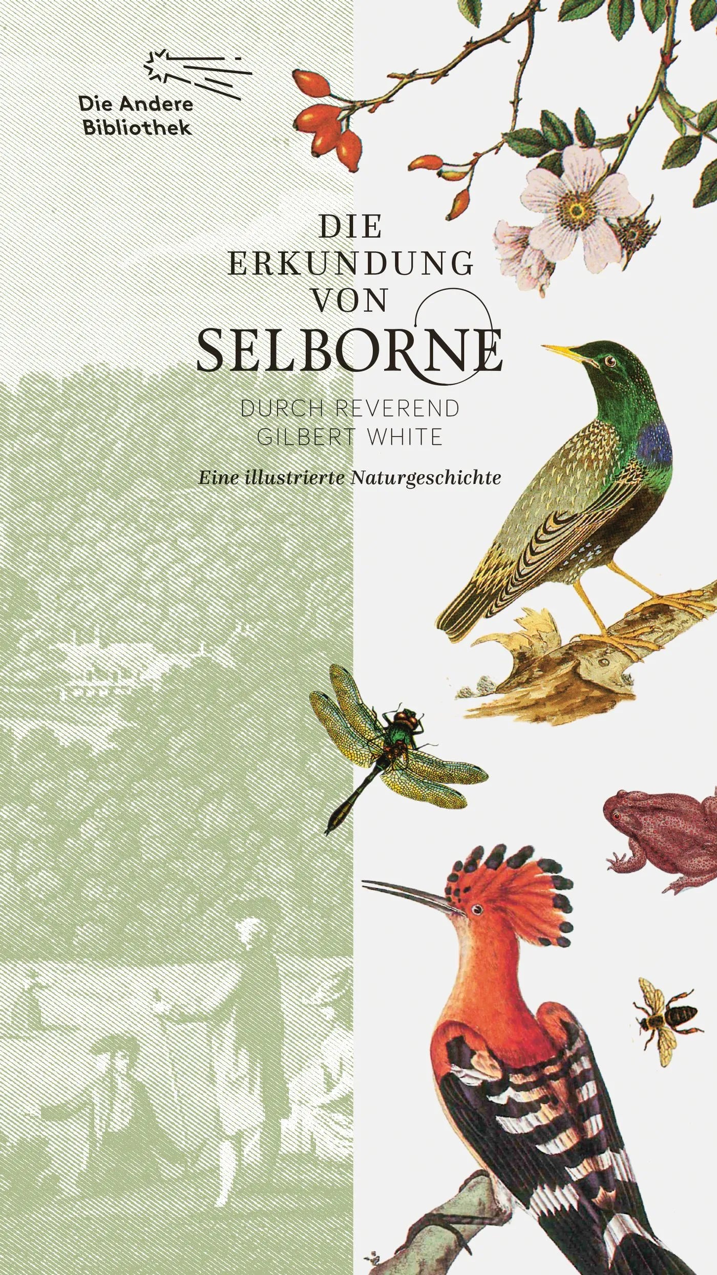 Buchcover von 'Die Erkundung von Selborne durch Reverend Gilbert White' - Gebundene Ausgabe von Gilbert White