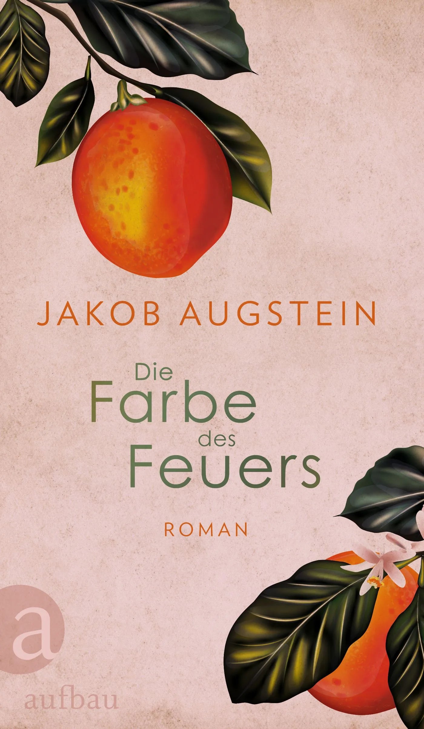 Buchcover von 'Die Farbe des Feuers' - Gebundene Ausgabe von Jakob Augstein