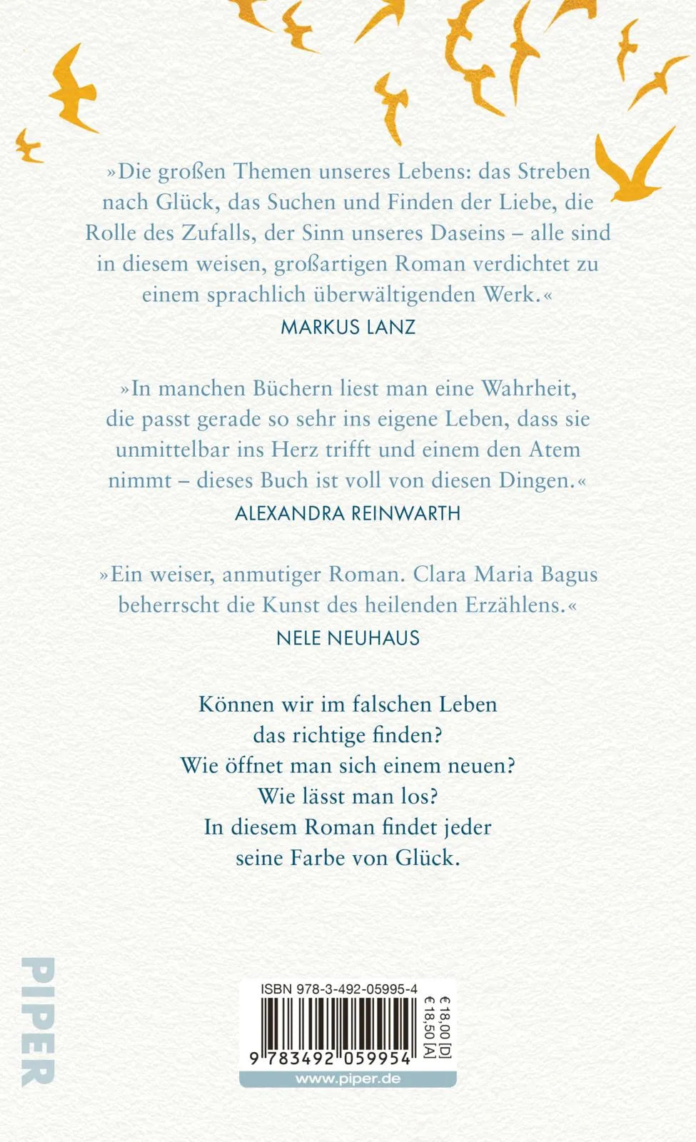 Buchrückseite von 'Die Farbe von Glück' mit Klappentext - Gebundene Ausgabe