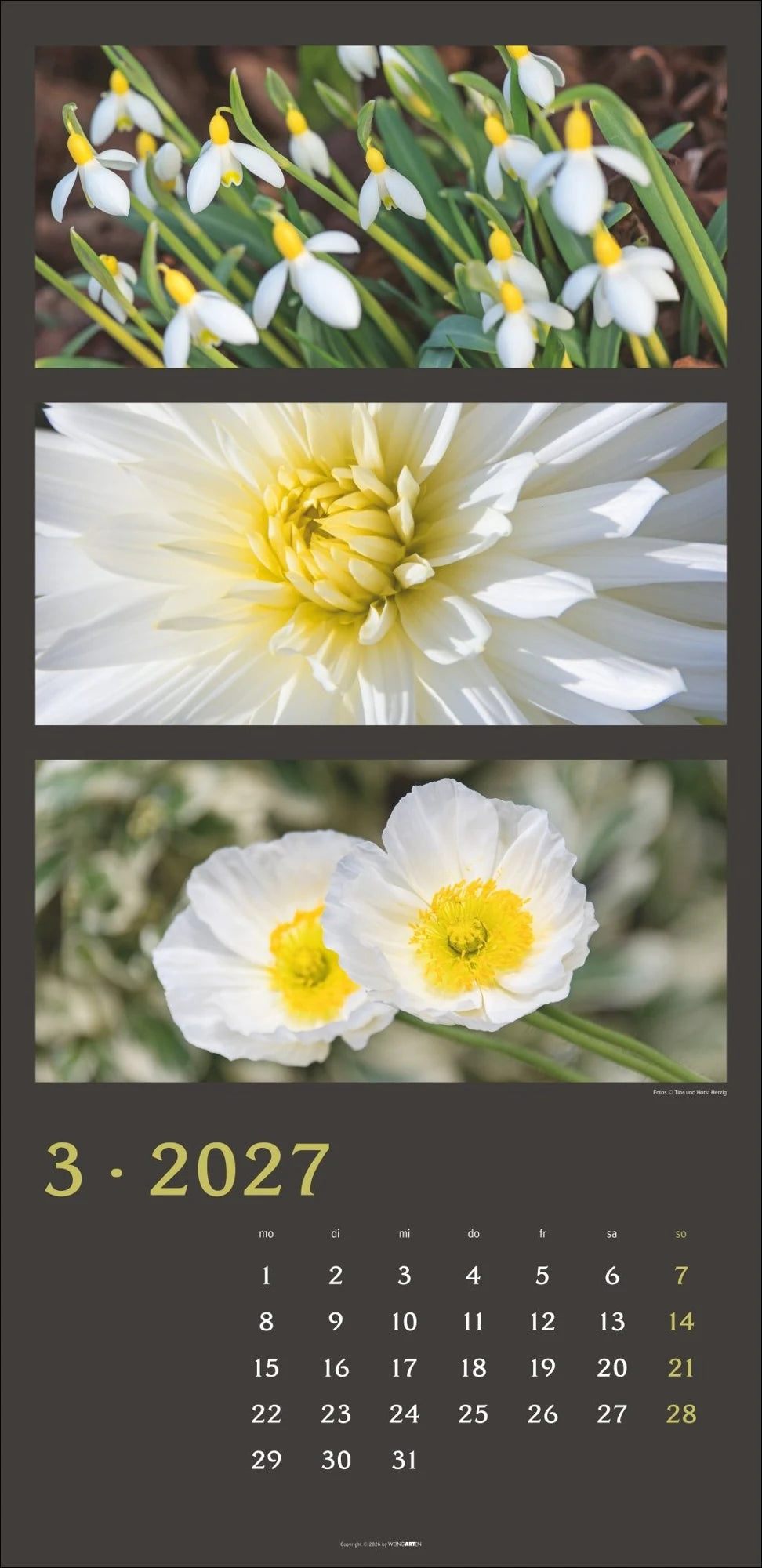 Die Farben der Natur Kalender 2027 – Ansicht