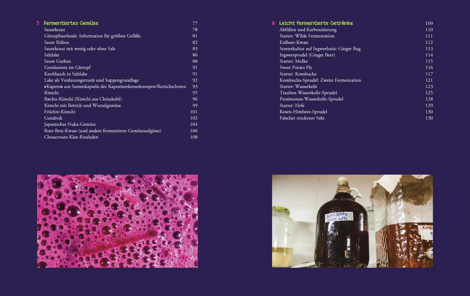 Innenansicht von 'Die Fermentier-Bibel' - Taschenbuch
