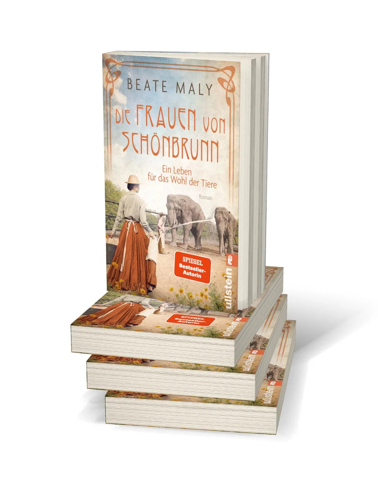 Detailansicht: Die Frauen von Schönbrunn (Taschenbuch)