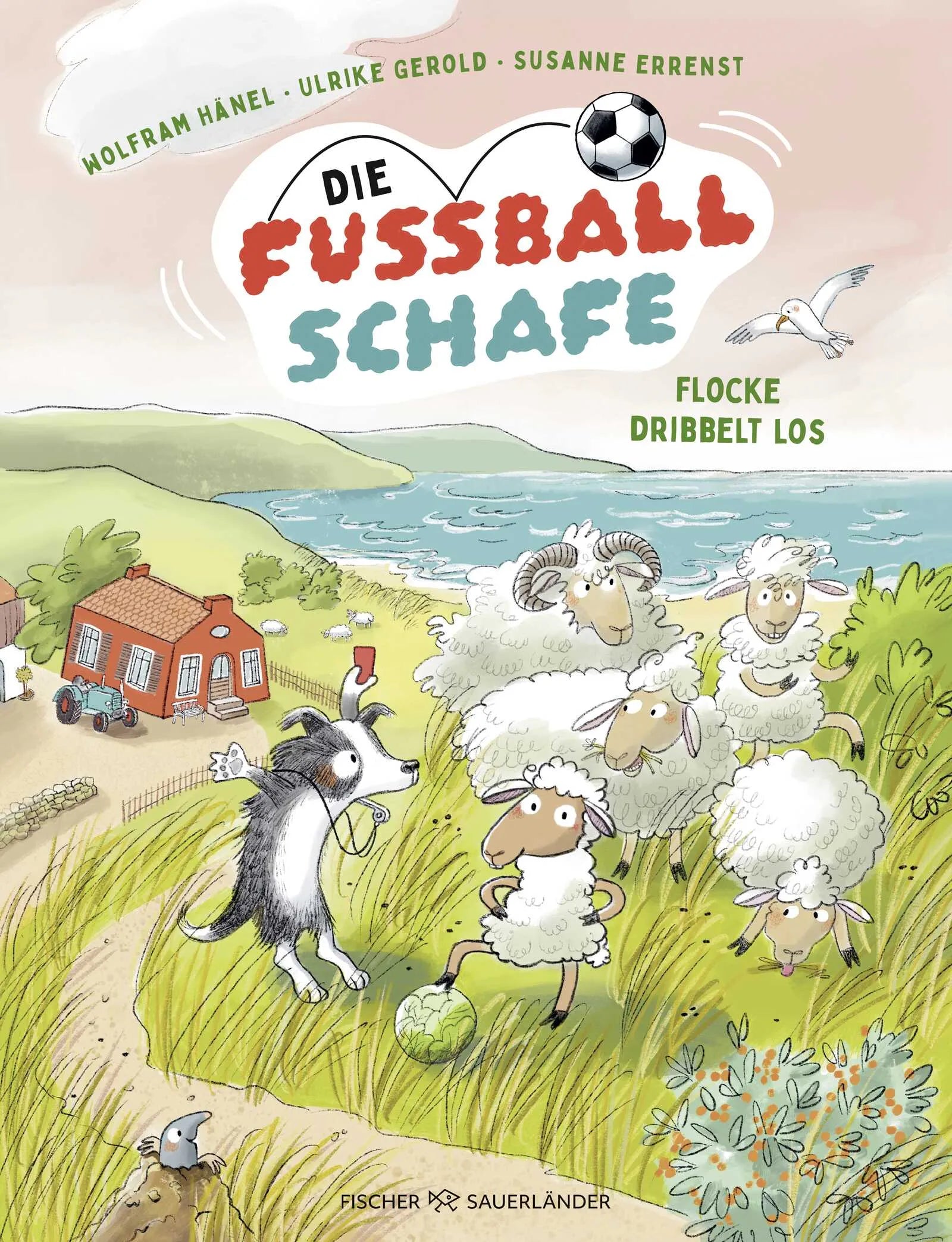 Buchcover von 'Die Fußballschafe' - Gebundene Ausgabe von Wolfram Hänel