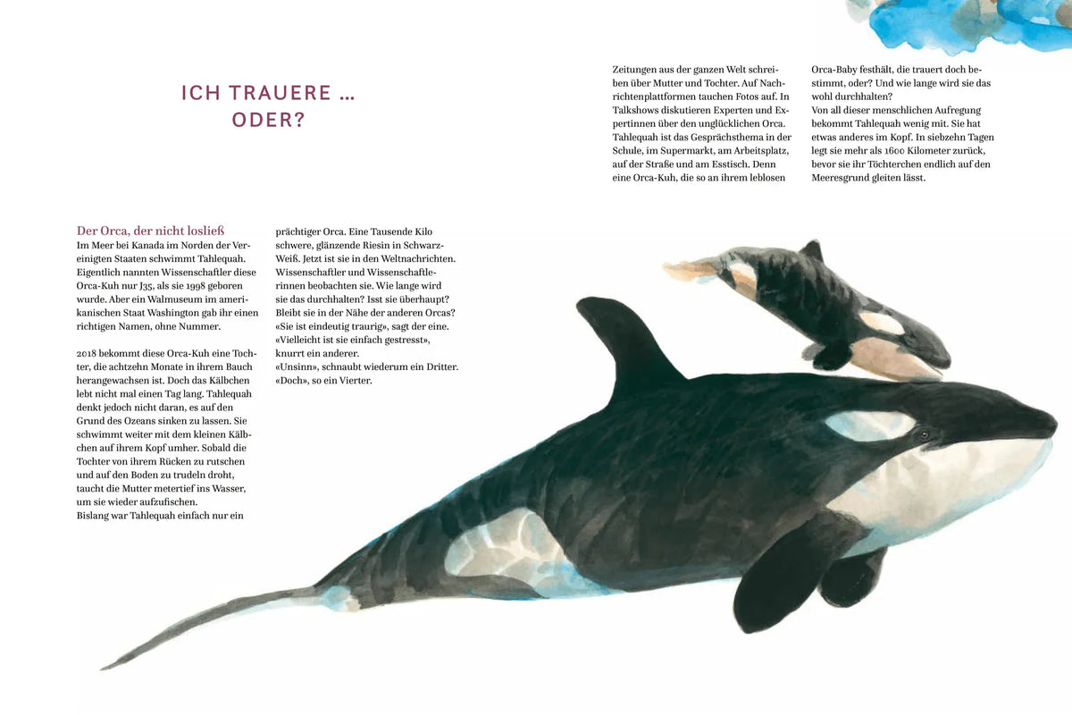 Detailansicht: Die Gefühle der Tiere: Von eifersüchtigen Affen, ängstlichen Hunden und pfiffigen Ratten (Hardcover)