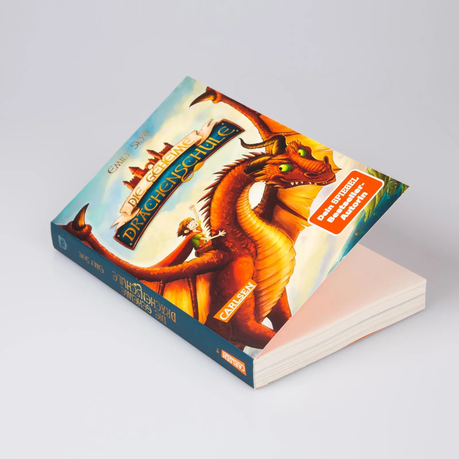 Produktansicht: Die geheime Drachenschule 1: Die geheime Drachenschule (Taschenbuch)
