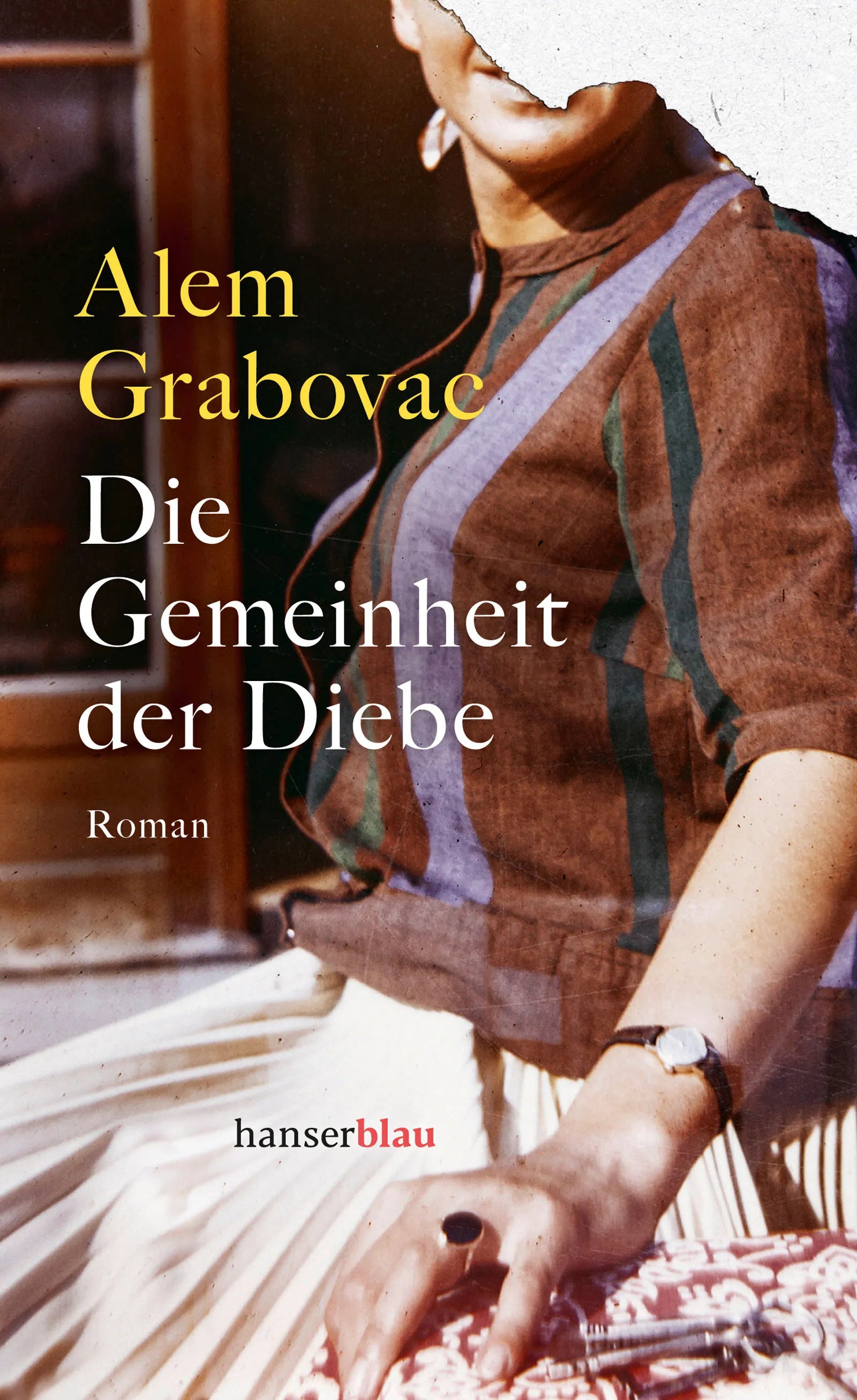Cover: Die Gemeinheit der Diebe (E-Book) von Alem Grabovac