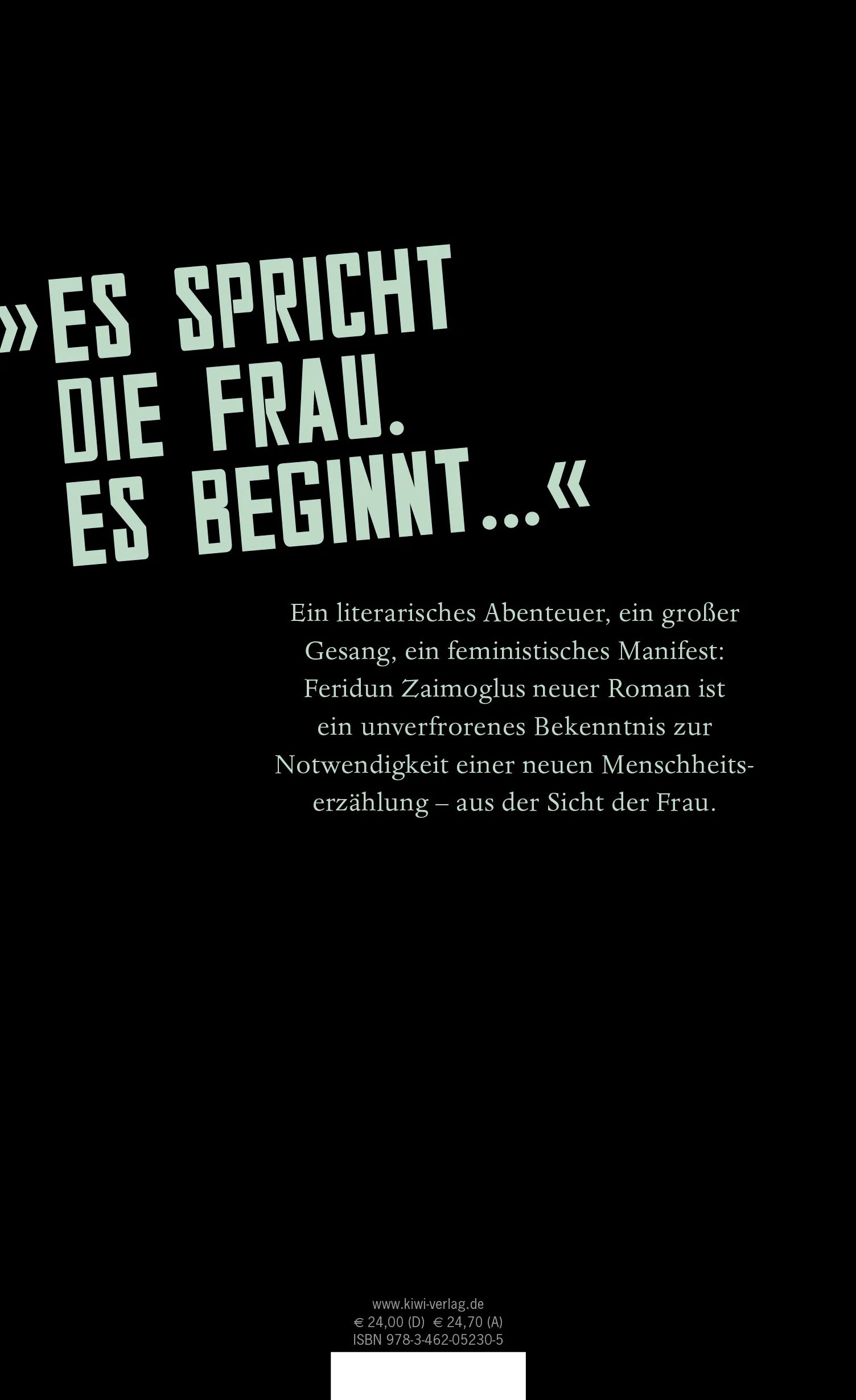 Buchrückseite von 'Die Geschichte der Frau' mit Klappentext - Gebundene Ausgabe