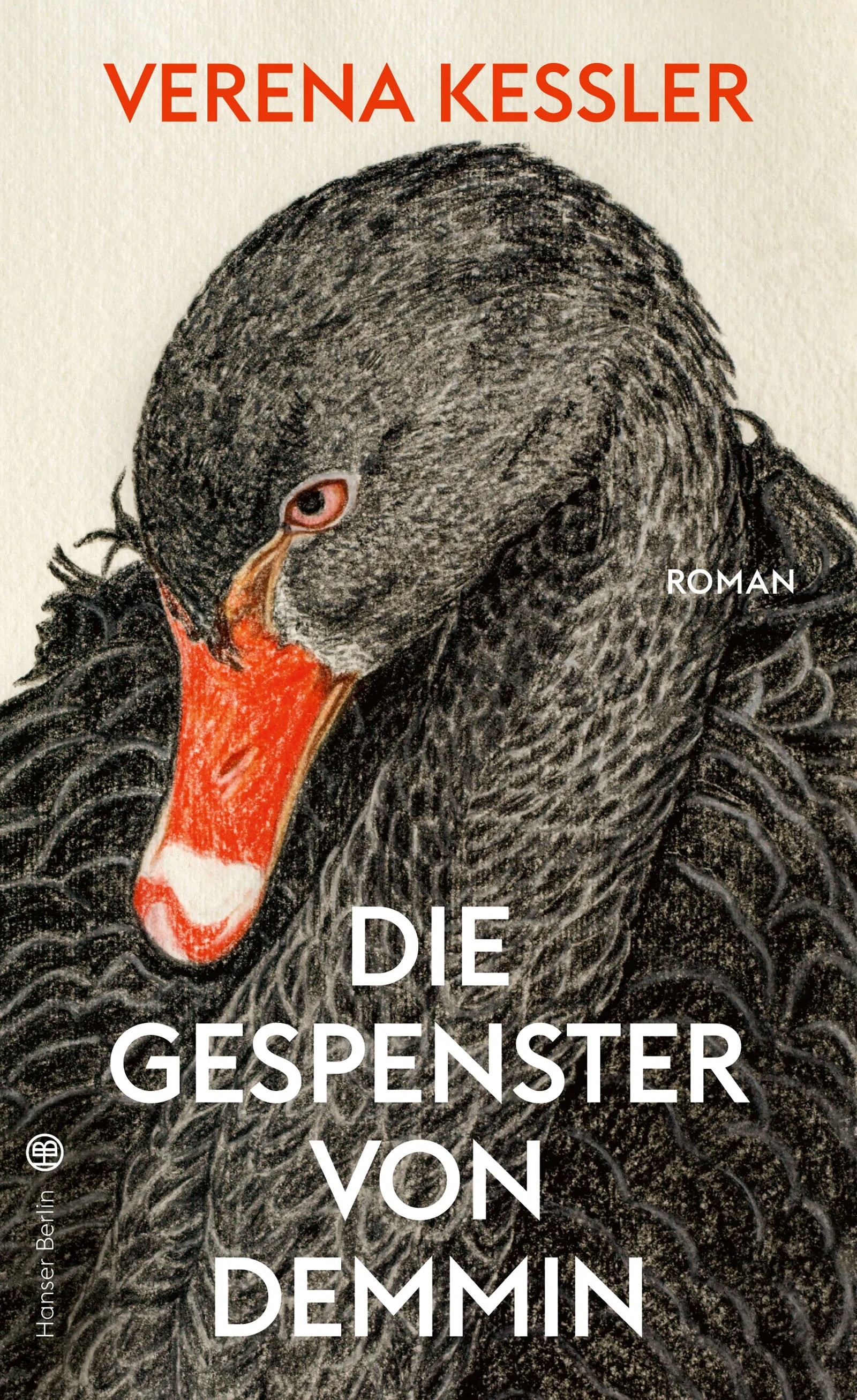 Buchcover von 'Die Gespenster von Demmin' - Gebundene Ausgabe von Verena Keßler
