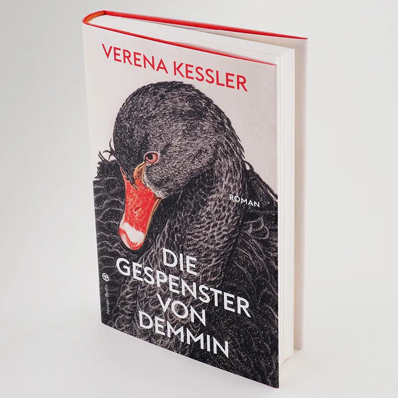 Produktansicht: Die Gespenster von Demmin (Gebundene Ausgabe)