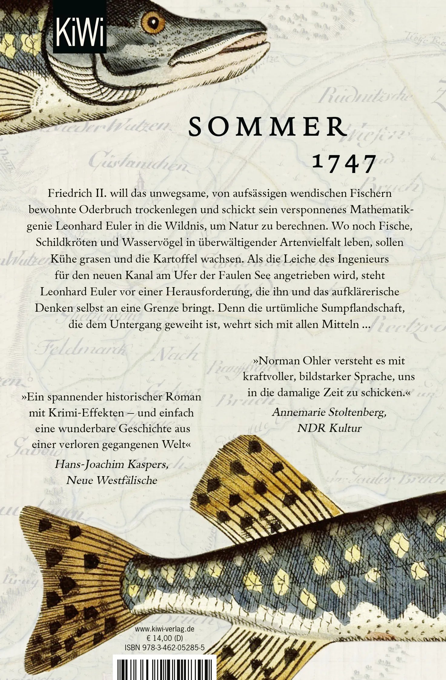 Buchrückseite von 'Die Gleichung des Lebens' mit Klappentext - Taschenbuch