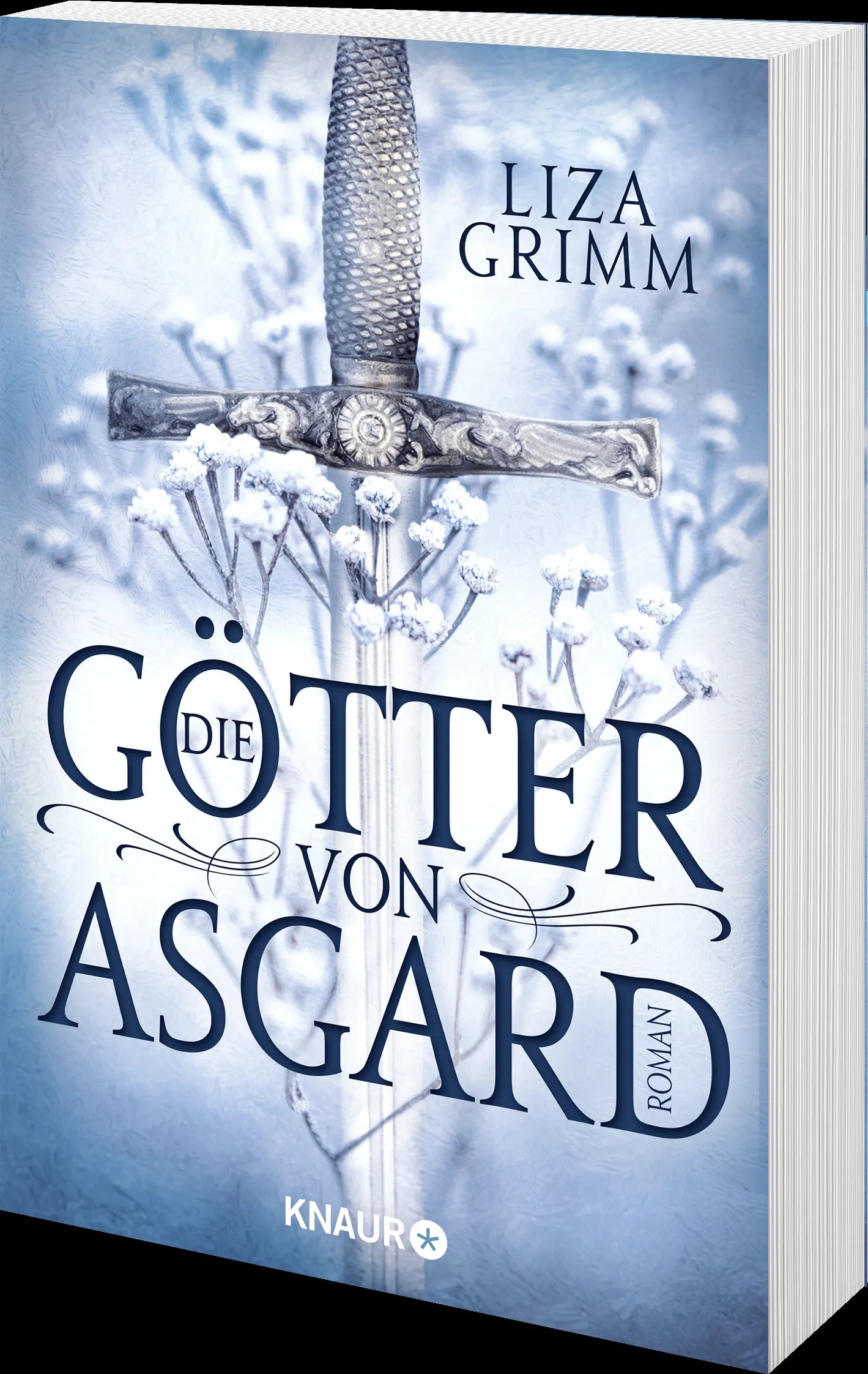 Liza Grimm - Die Götter von Asgard