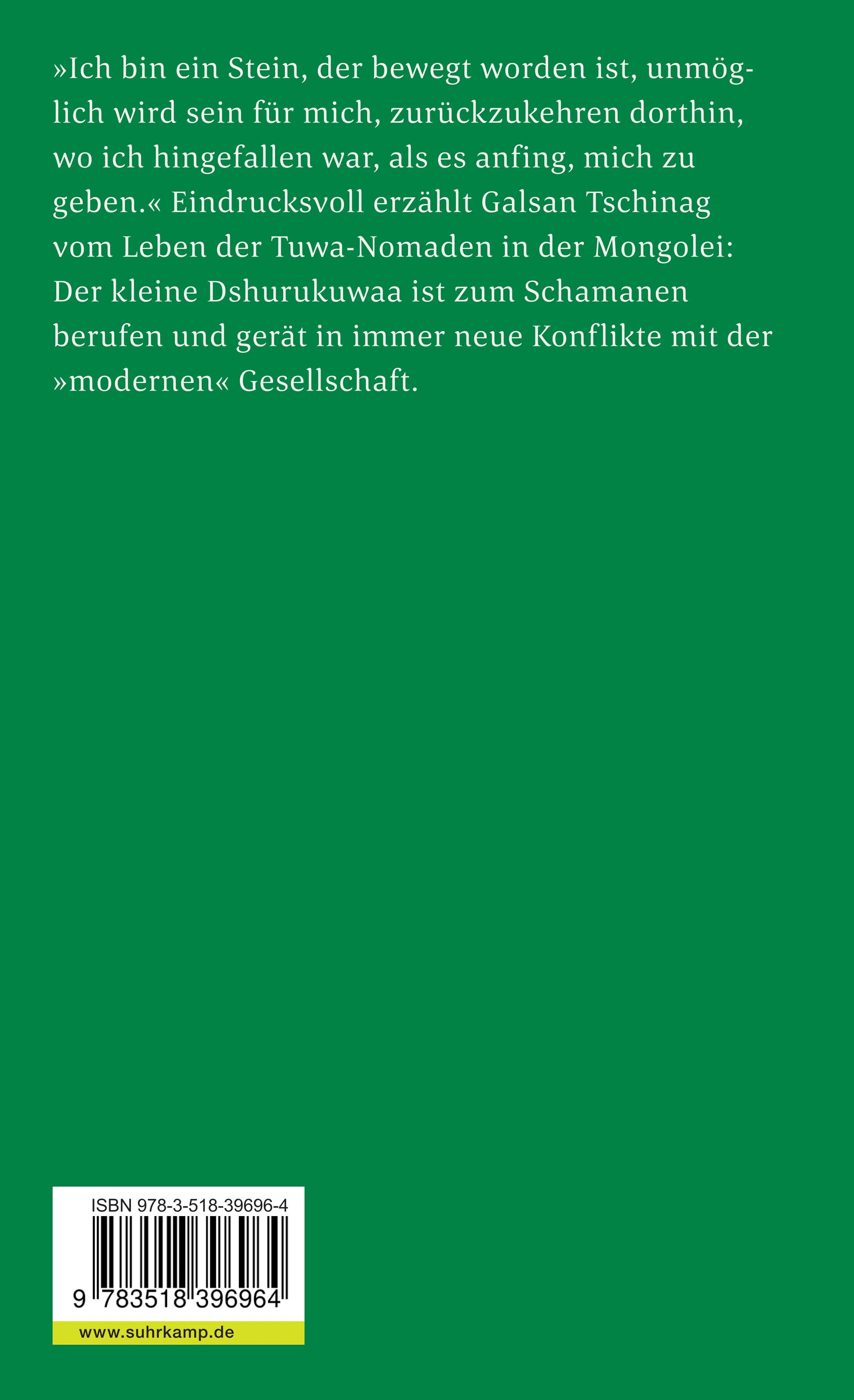 Buchrückseite von 'Die graue Erde' mit Klappentext - Taschenbuch