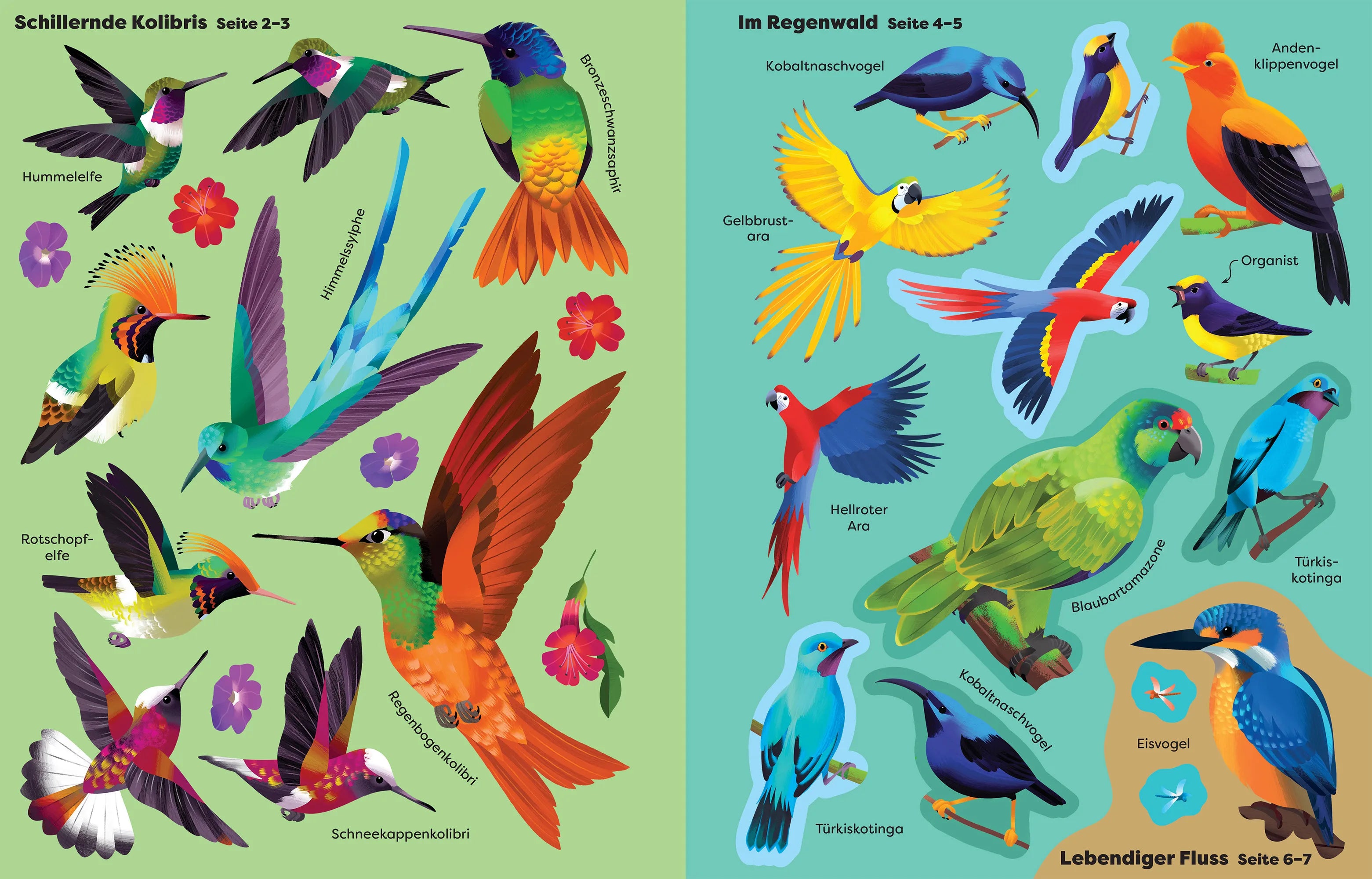 Detailansicht: Die große Sticker-Tierwelt: Vögel (Taschenbuch)