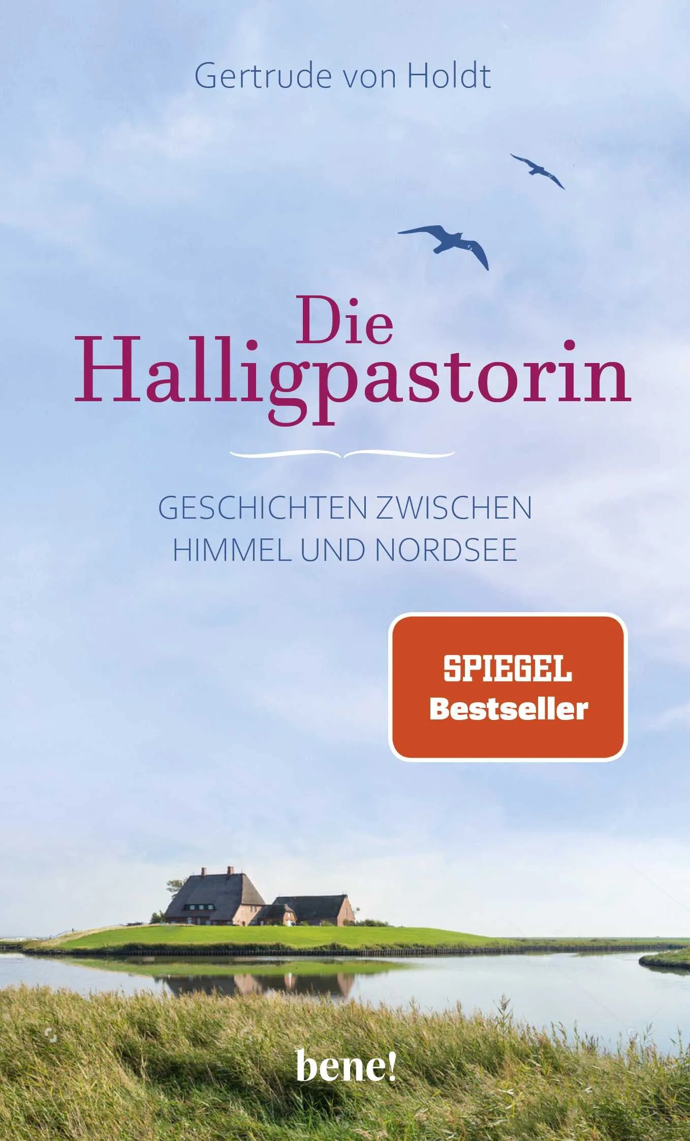 Buchcover von 'Die Halligpastorin' - Gebundene Ausgabe von Gertrude von Holdt