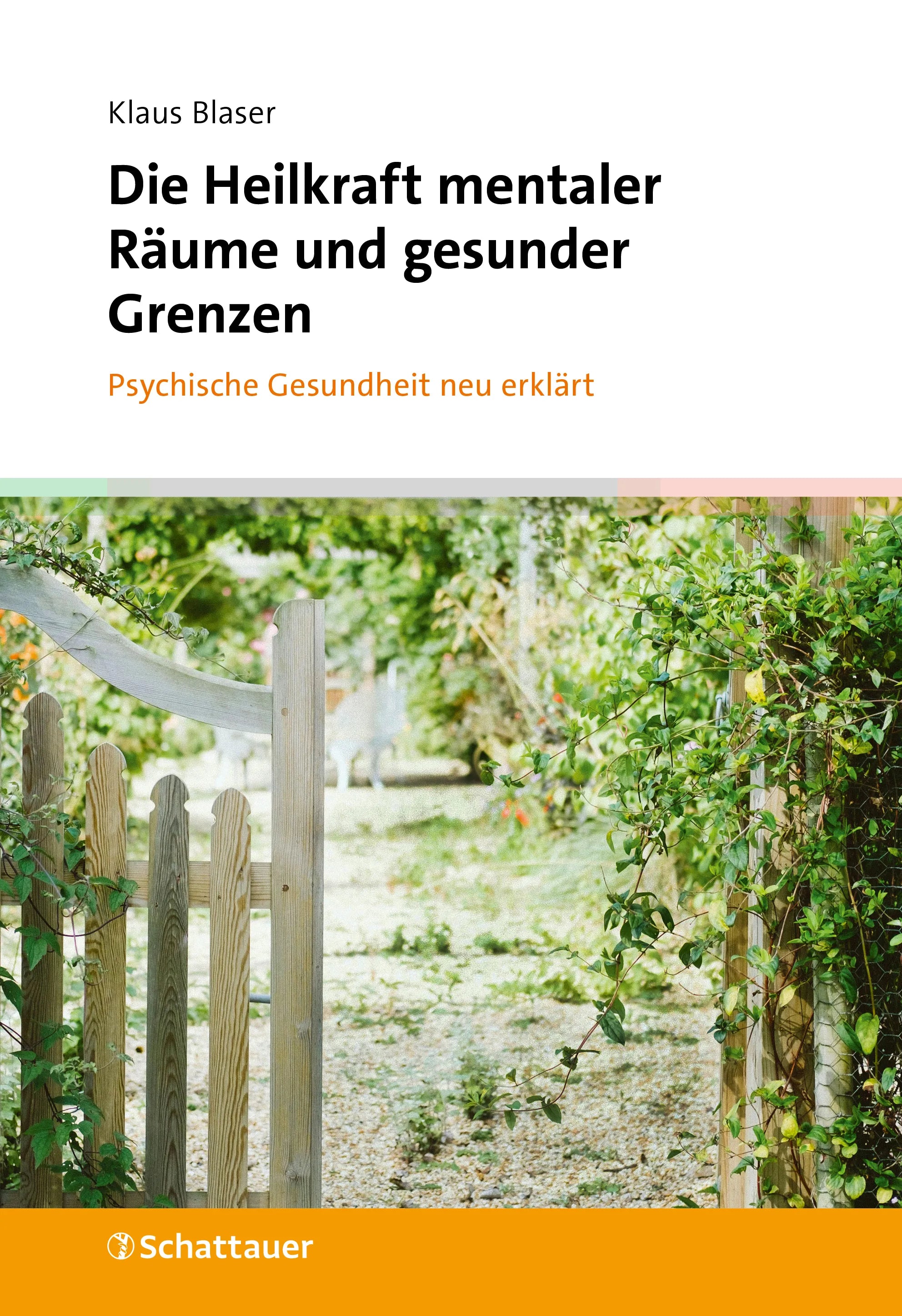 Cover: Die Heilkraft mentaler Räume und gesunder Grenzen (Hardcover) von Klaus Blaser