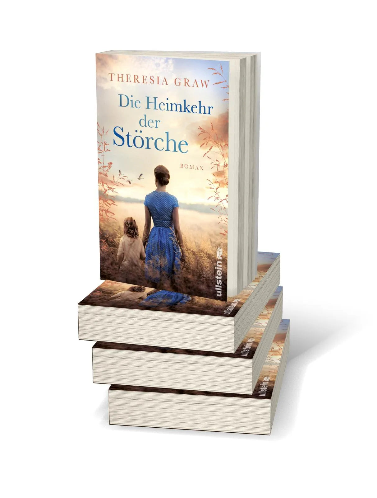 Detailansicht: Die Heimkehr der Störche (Paperback)