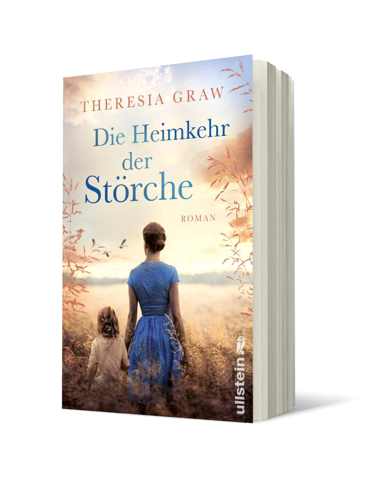 Detailansicht: Die Heimkehr der Störche (Paperback)