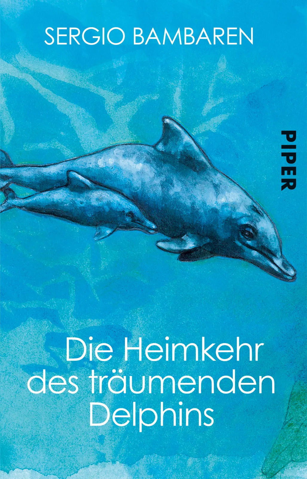 Buchcover von 'Die Heimkehr des träumenden Delphins' - Taschenbuch von Sergio Bambaren