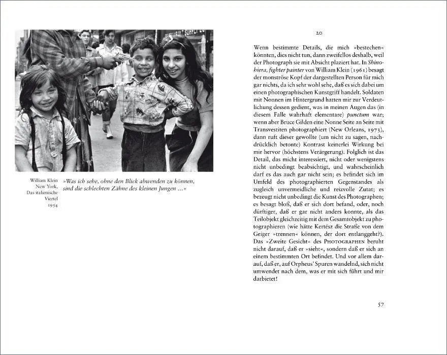 Produktansicht: Die helle Kammer (Gebundene Ausgabe)