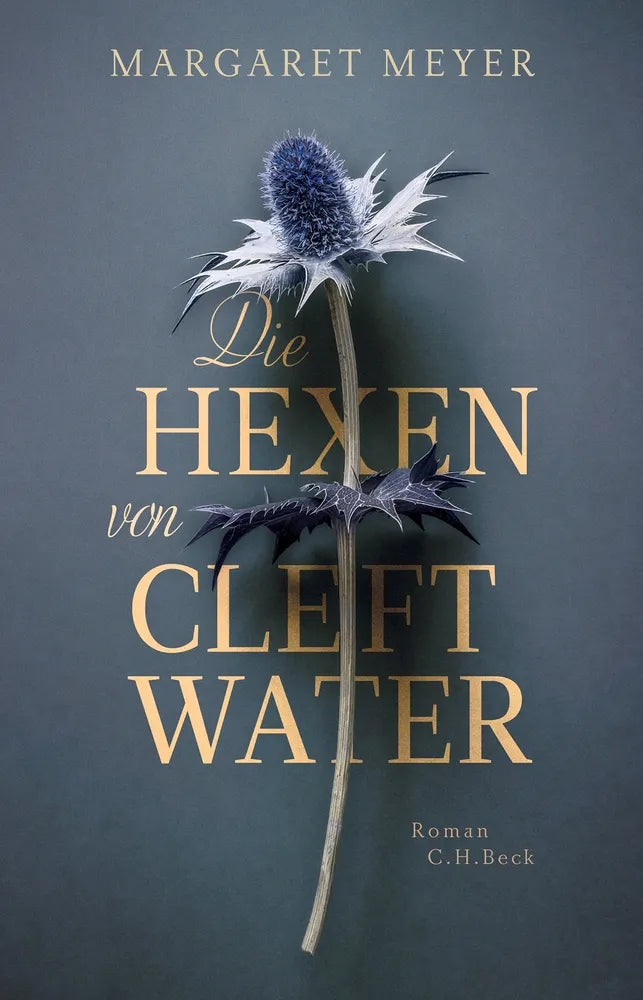 Cover: Die Hexen von Cleftwater (E-Book) von Margaret Meyer